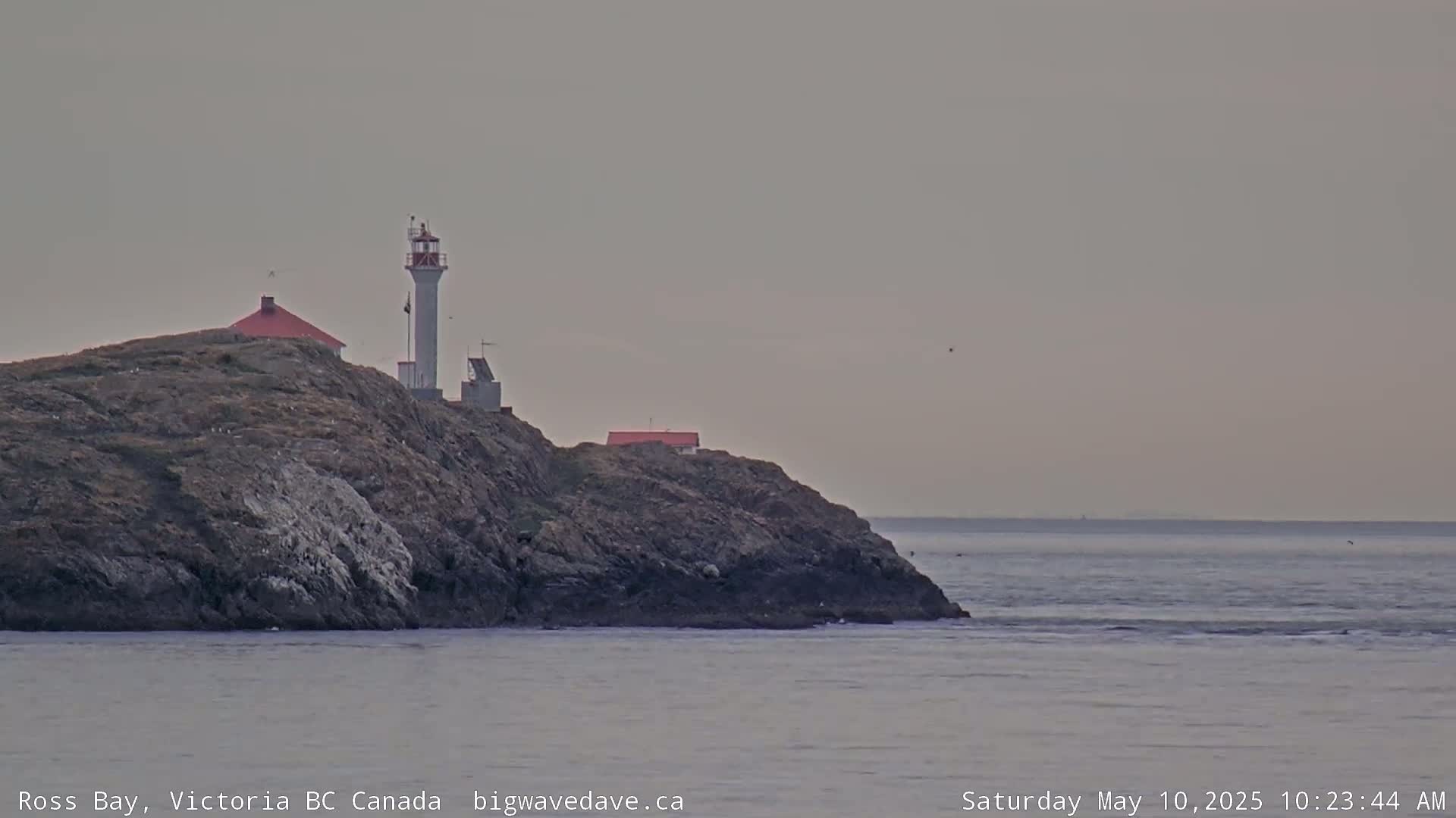 A white lighthouse stands on a rocky, dark-colored island under an overcast sky, overlooking calm gray water.