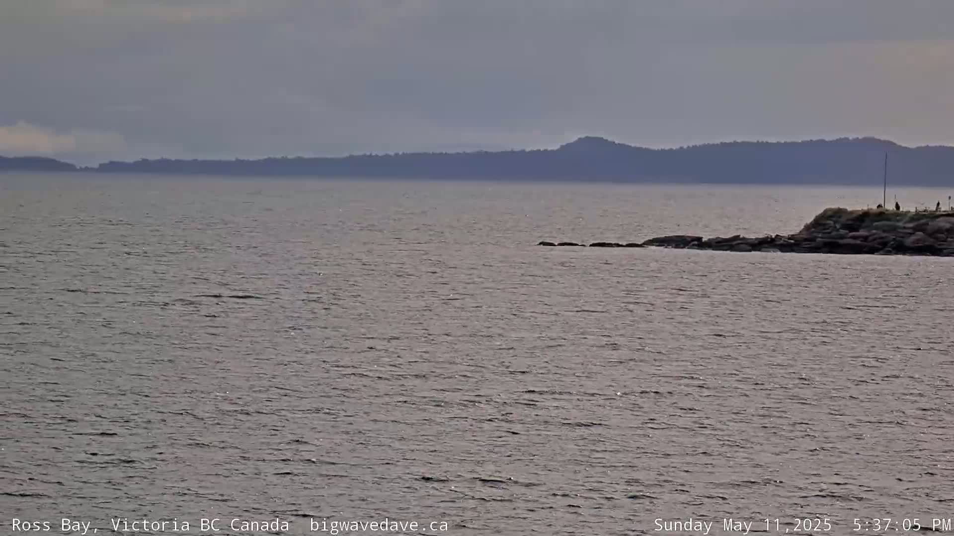 A calm body of water shows a distant, dark mountain range under an overcast sky, with a rocky outcrop in the foreground.