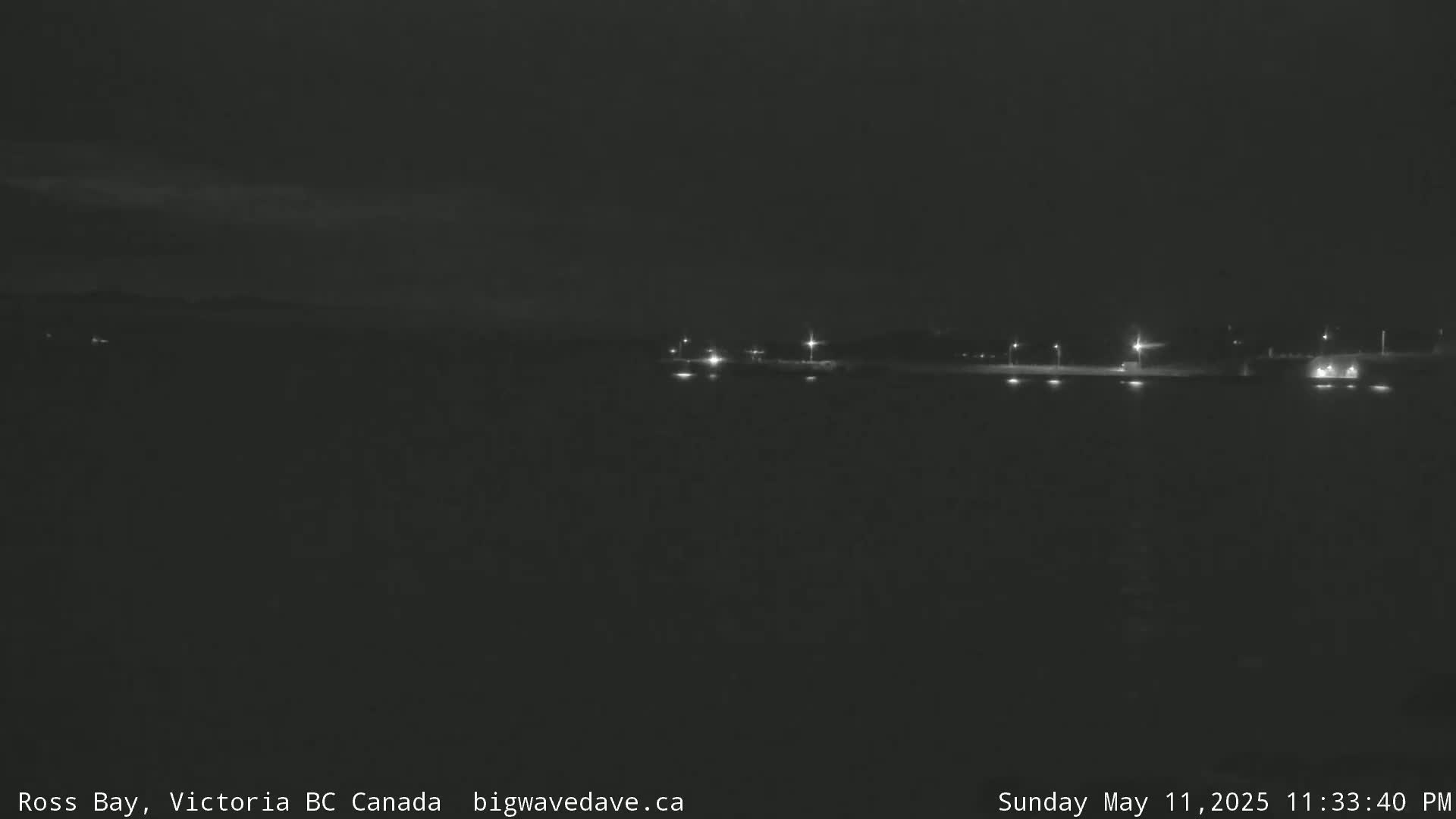 A nighttime, dark view of a body of water with a distant shoreline illuminated by scattered lights.