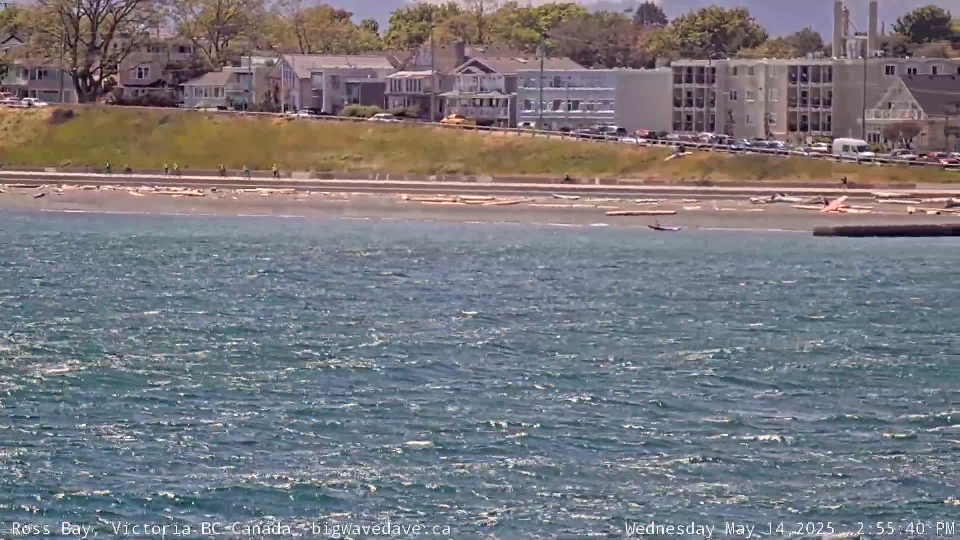 A sandy beach with people walking and biking along a paved path,  is situated below houses and buildings on a sunny day with a choppy ocean in the foreground.