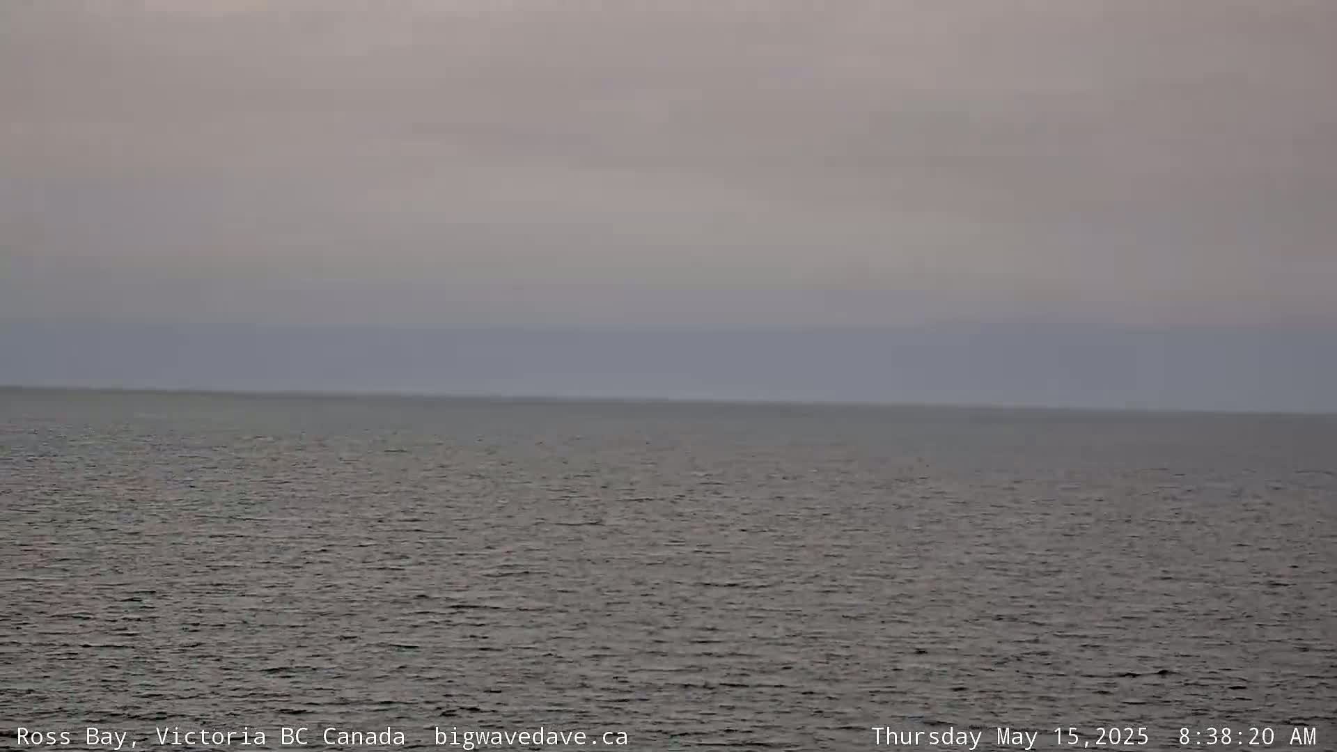 A calm, gray sea stretches to a hazy horizon under an overcast sky.
