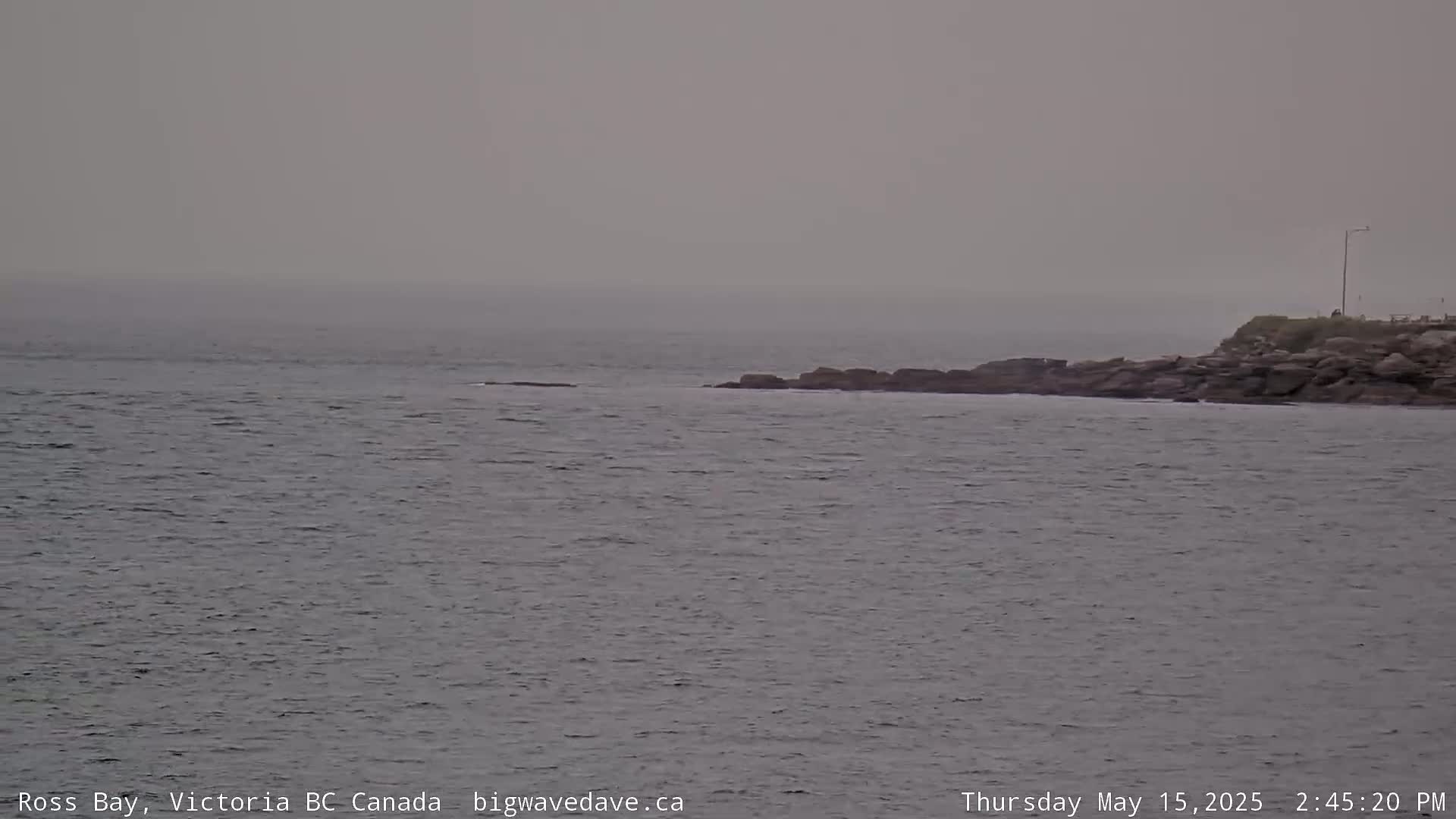 Fairfield District & Ross Bay Pasific & Trail Island Live Cam - Fairfield,  Victoria, Capital Regional District, British Columbia, Canada