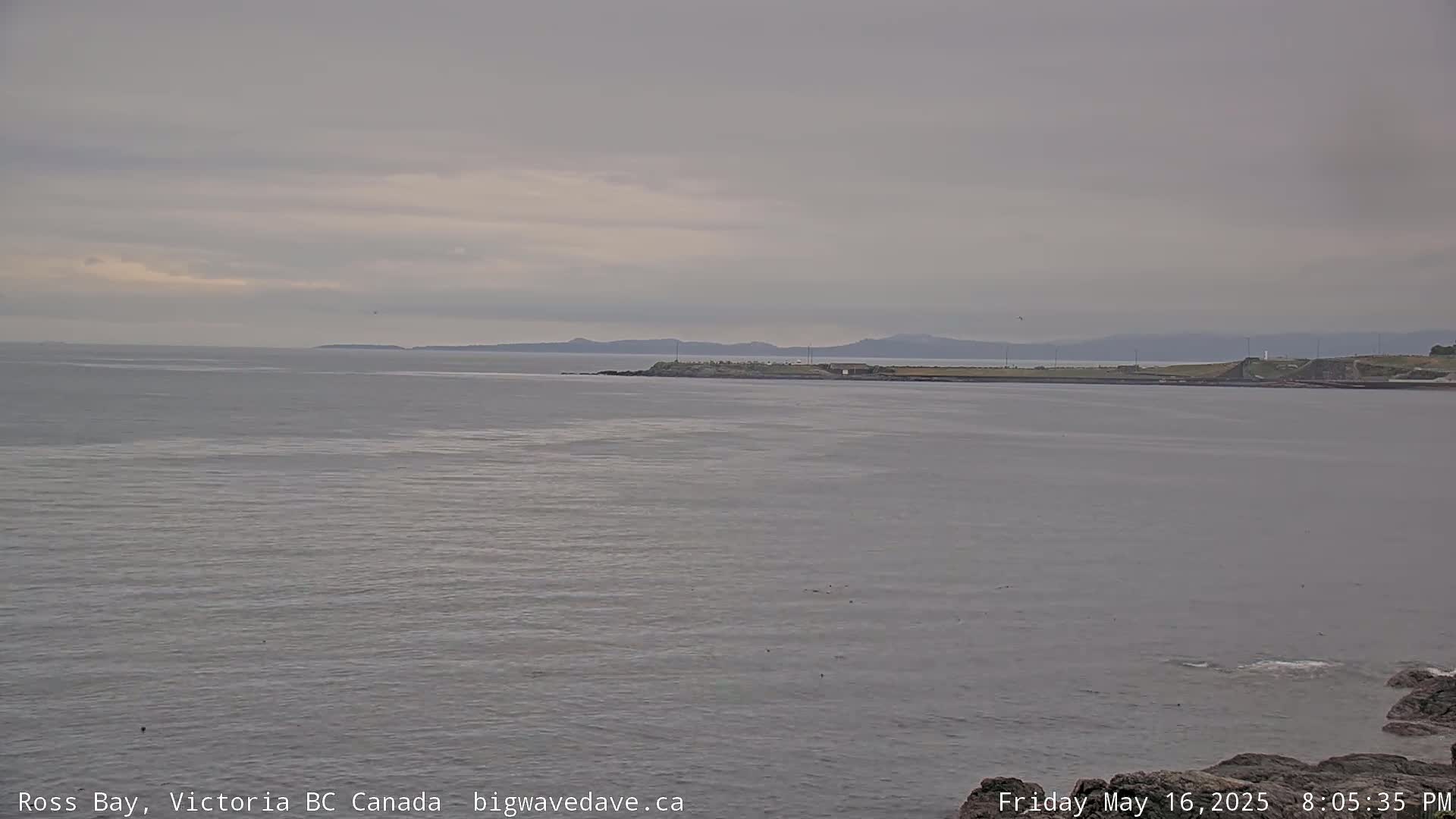 Fairfield District & Ross Bay Pasific & Trail Island Live Cam - Fairfield,  Victoria, Capital Regional District, British Columbia, Canada
