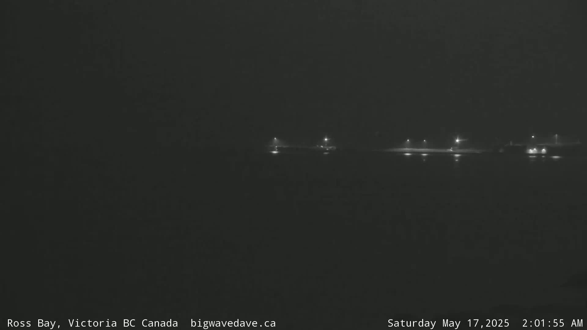 A dark, nighttime scene shows a dimly lit shoreline across a body of water under foggy conditions.