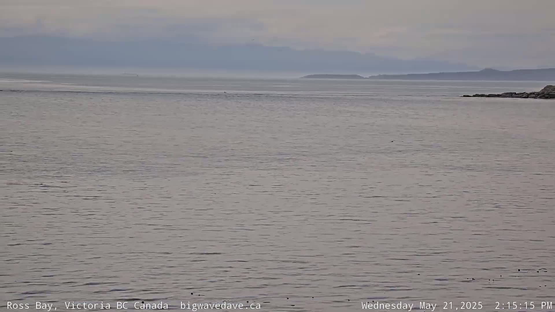 A calm, overcast day shows a body of water with a distant shoreline and mountains under a gray sky.