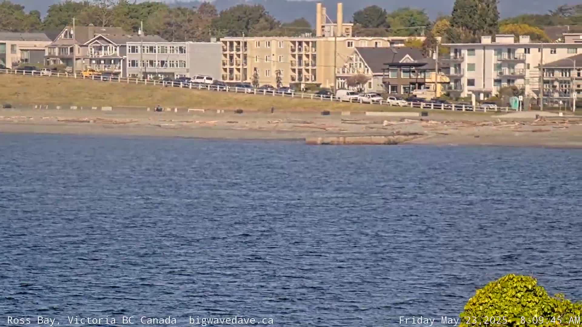 A calm body of water stretches out before a sandy beach and several buildings under a clear sky.