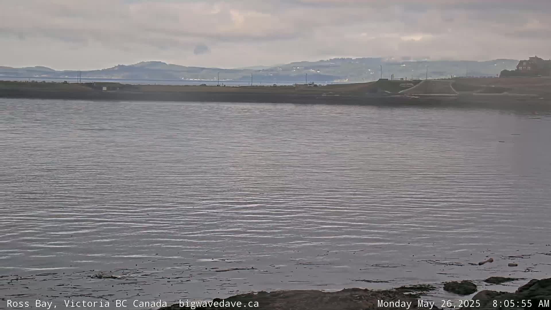 A calm, grey day shows a body of water with a distant shoreline and hills under an overcast sky.