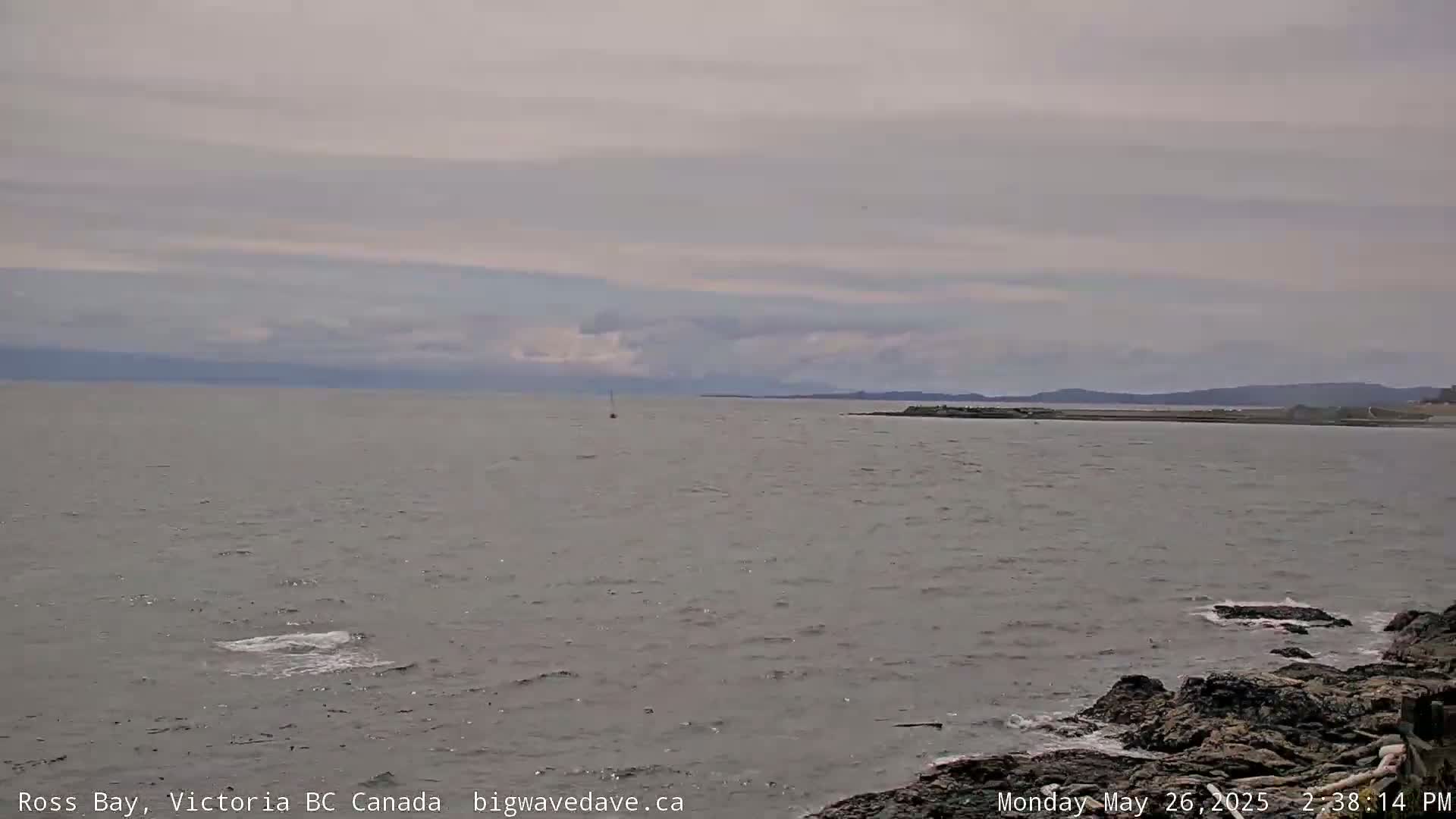 Fairfield District & Ross Bay Pasific & Trail Island Live Cam - Fairfield,  Victoria, Capital Regional District, British Columbia, Canada