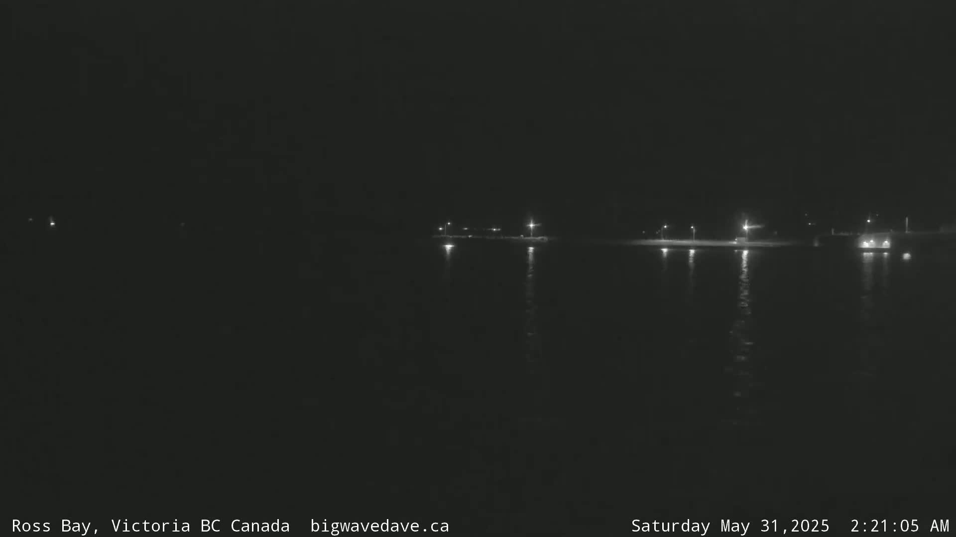 A dark nighttime view of a calm body of water reflecting a few distant lights on the opposite shore under a clear sky.