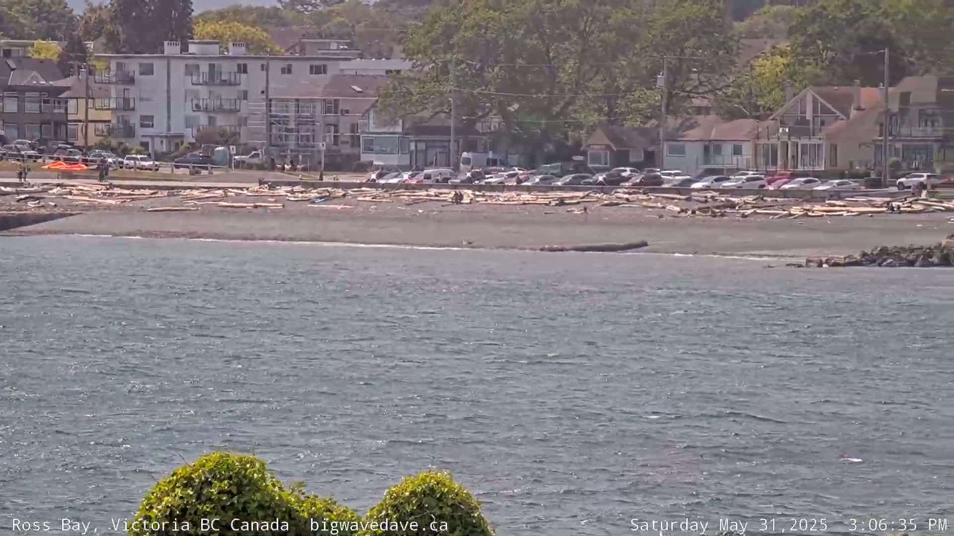A dark-sand beach strewn with driftwood sits in front of houses and parked cars on a sunny day, with calm water visible in the foreground.
