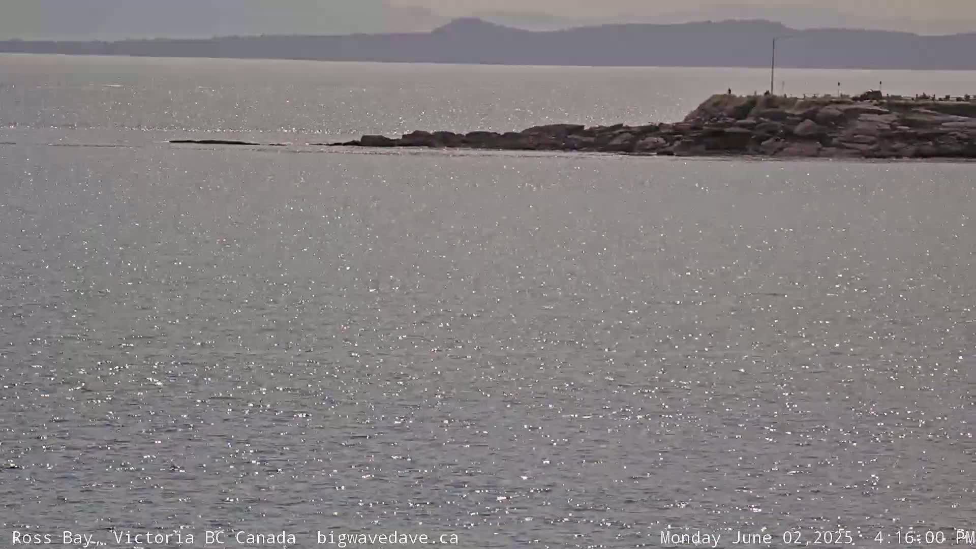 Fairfield District & Ross Bay Pasific & Trail Island Live Cam - Fairfield,  Victoria, Capital Regional District, British Columbia, Canada