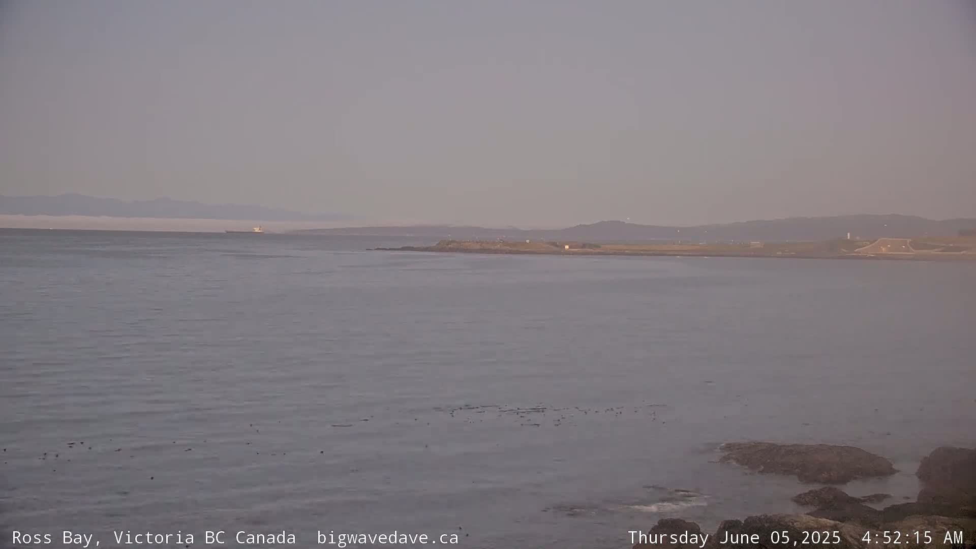 A calm, hazy ocean scene shows a distant coastline with a ship on the horizon.