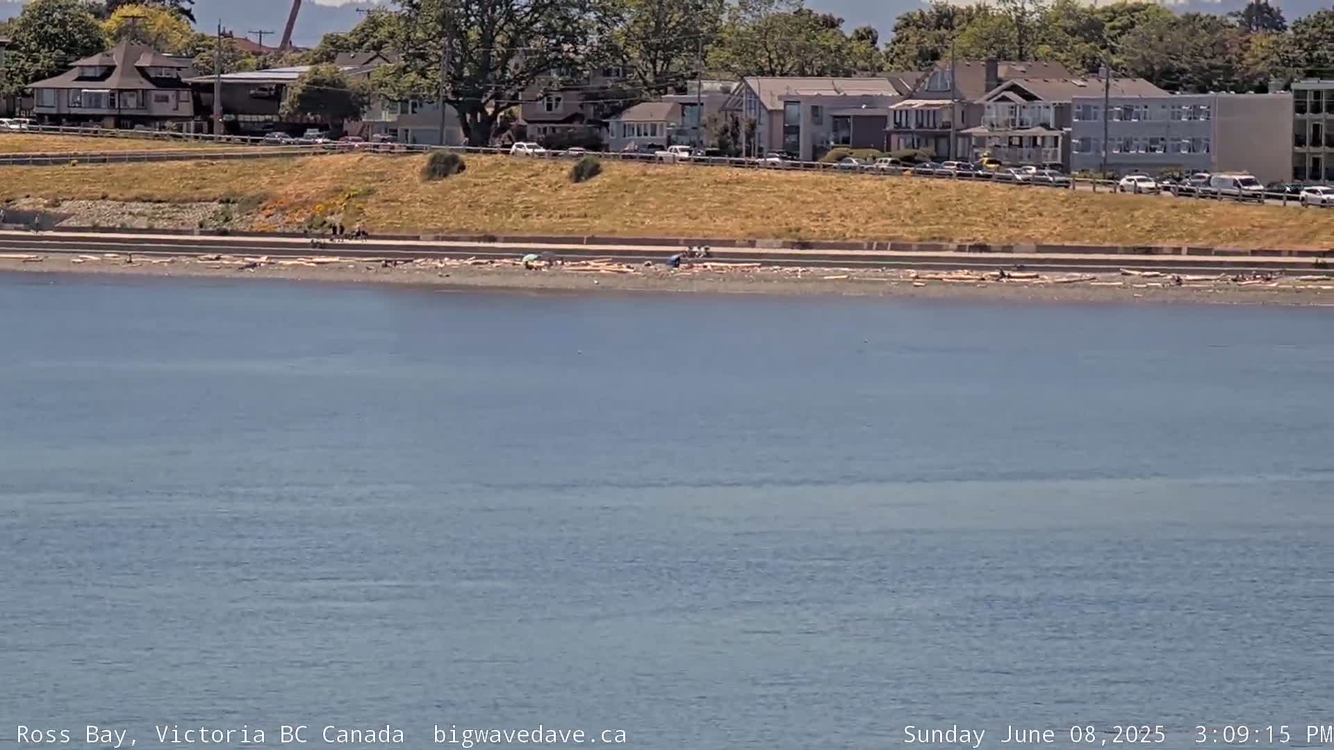 Fairfield District & Ross Bay Pasific & Trail Island Live Cam - Fairfield,  Victoria, Capital Regional District, British Columbia, Canada