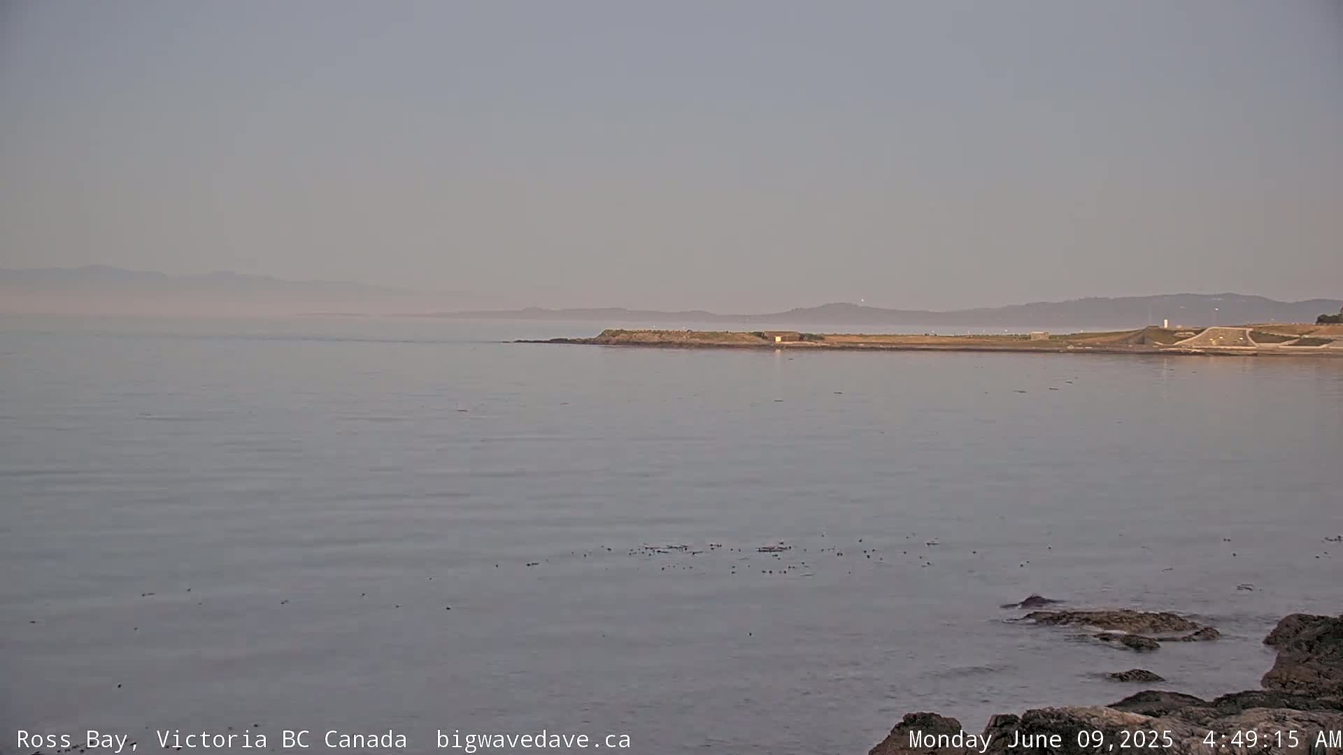 A calm, hazy body of water shows a shoreline with a small landmass extending into the water, and distant, hazy mountains are visible in the background.