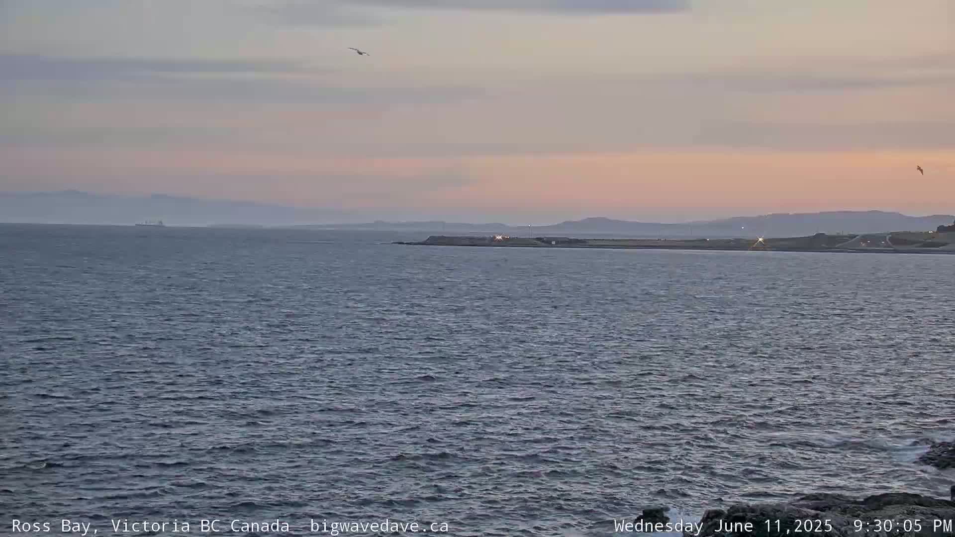 Fairfield District & Ross Bay Pasific & Trail Island Live Cam - Fairfield,  Victoria, Capital Regional District, British Columbia, Canada