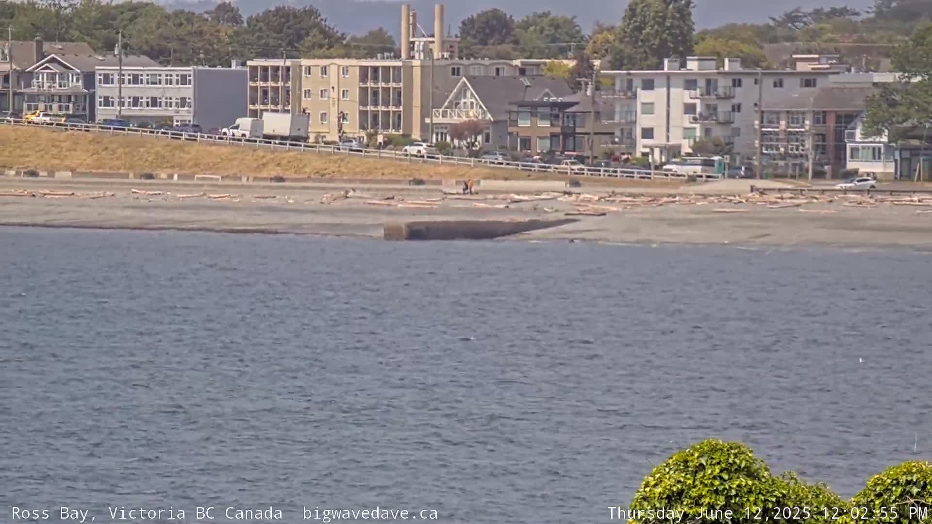 Fairfield District & Ross Bay Pasific & Trail Island Live Cam - Fairfield,  Victoria, Capital Regional District, British Columbia, Canada