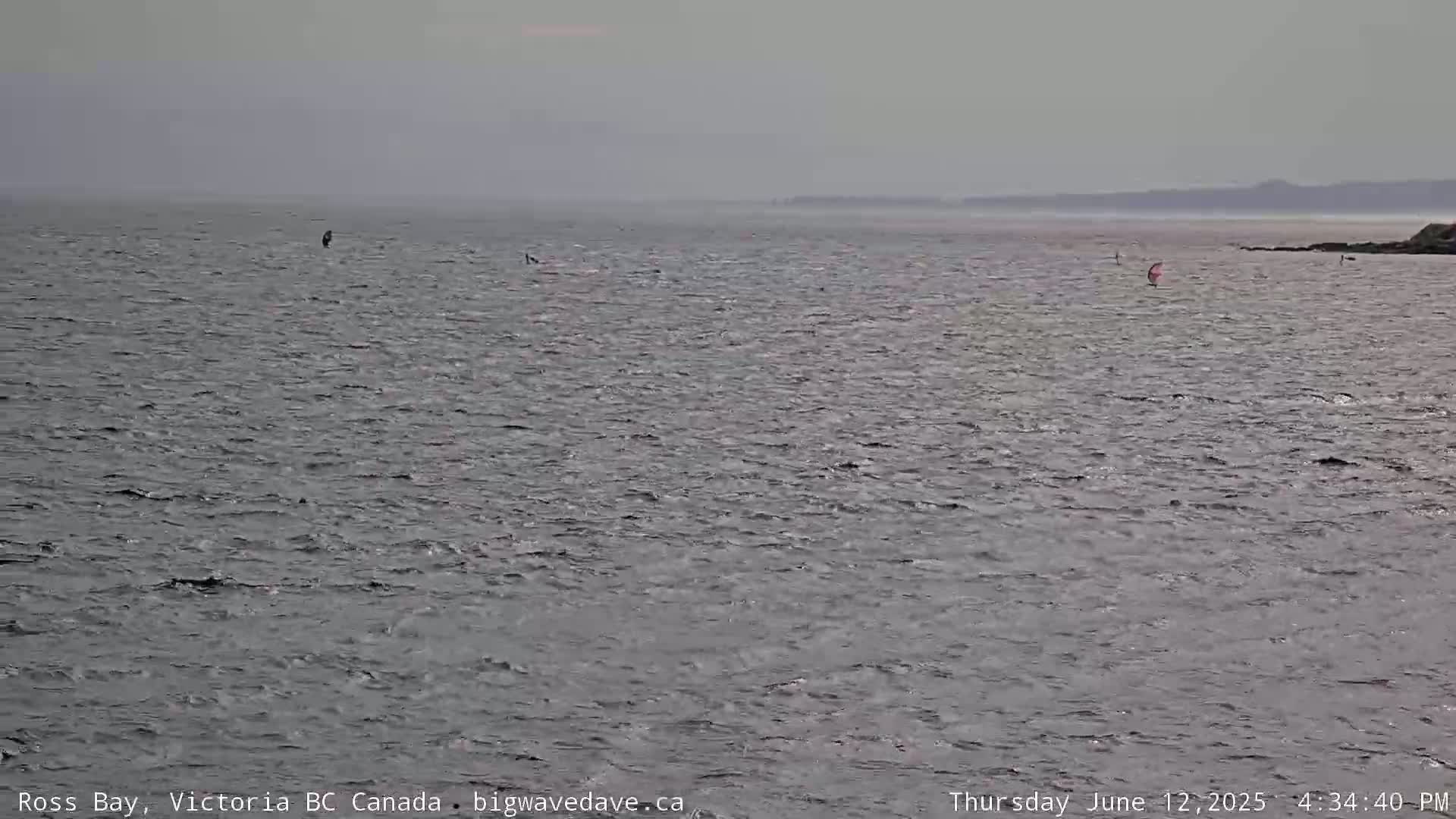 Fairfield District & Ross Bay Pasific & Trail Island Live Cam - Fairfield,  Victoria, Capital Regional District, British Columbia, Canada