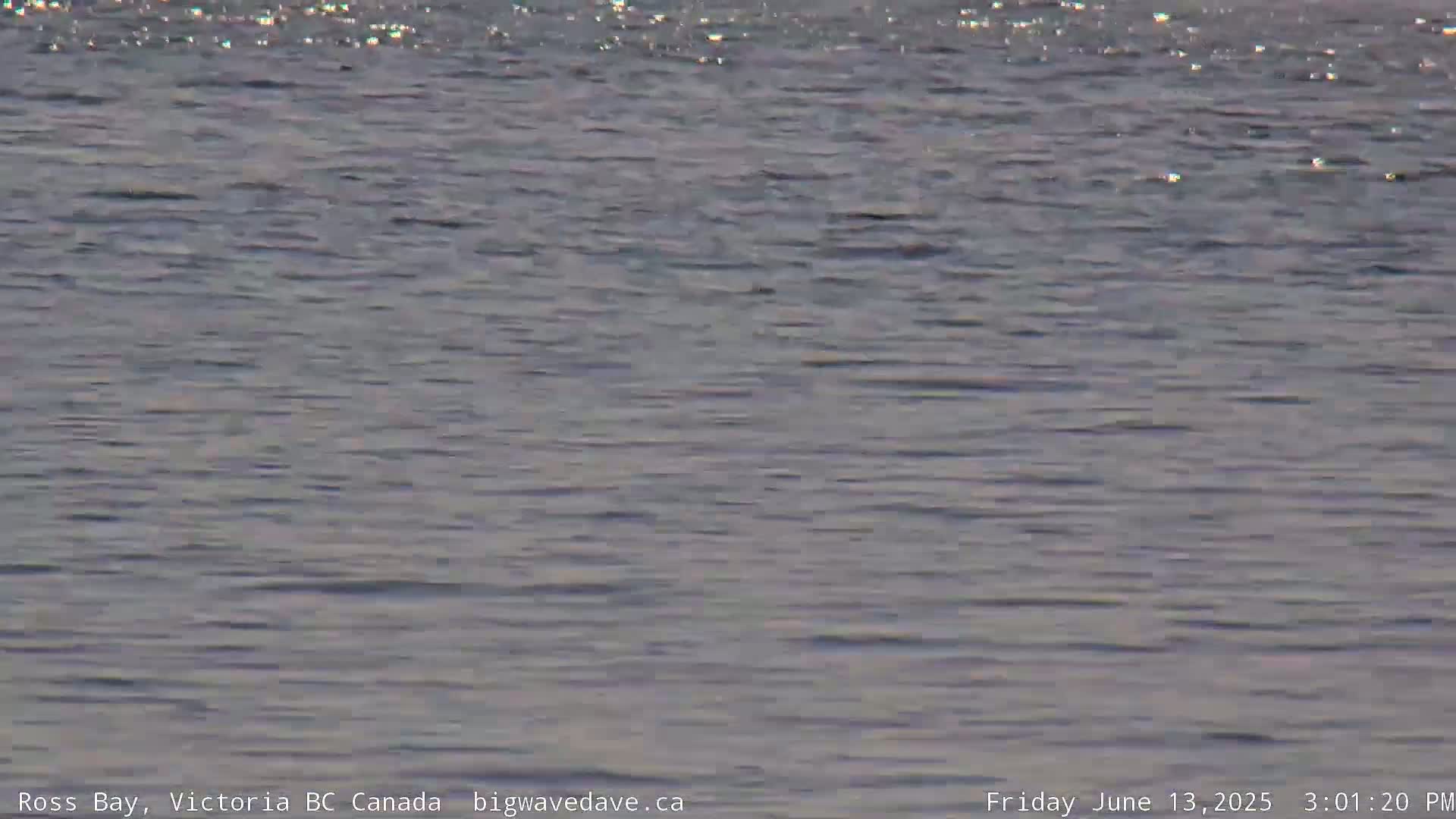 Fairfield District & Ross Bay Pasific & Trail Island Live Cam - Fairfield,  Victoria, Capital Regional District, British Columbia, Canada