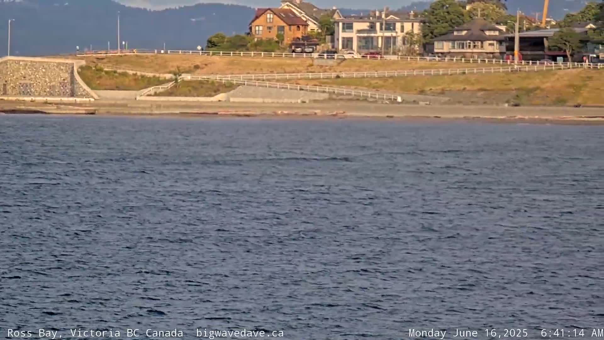 A calm body of water laps a sandy shore where houses and a roadway sit atop a grassy hill.