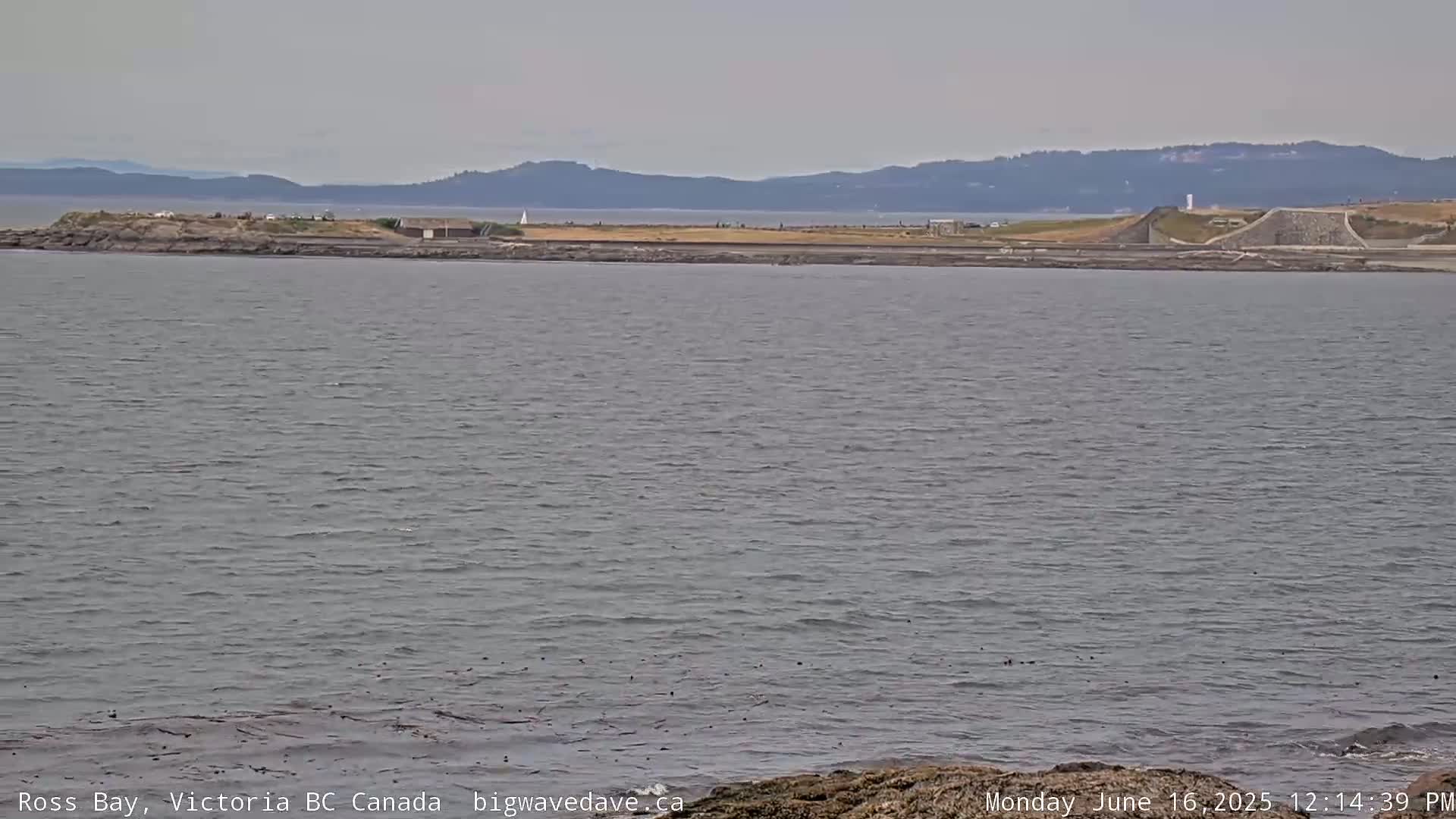 Fairfield District & Ross Bay Pasific & Trail Island Live Cam - Fairfield,  Victoria, Capital Regional District, British Columbia, Canada