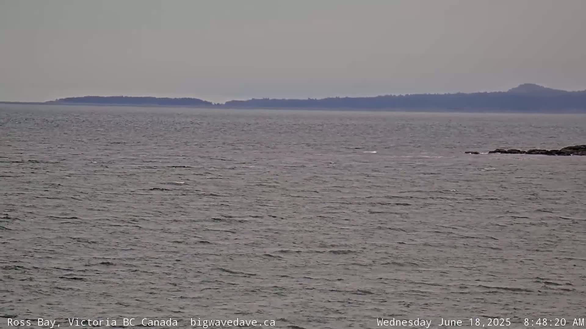 A calm, gray body of water stretches to a distant, low-lying treeline under an overcast sky.