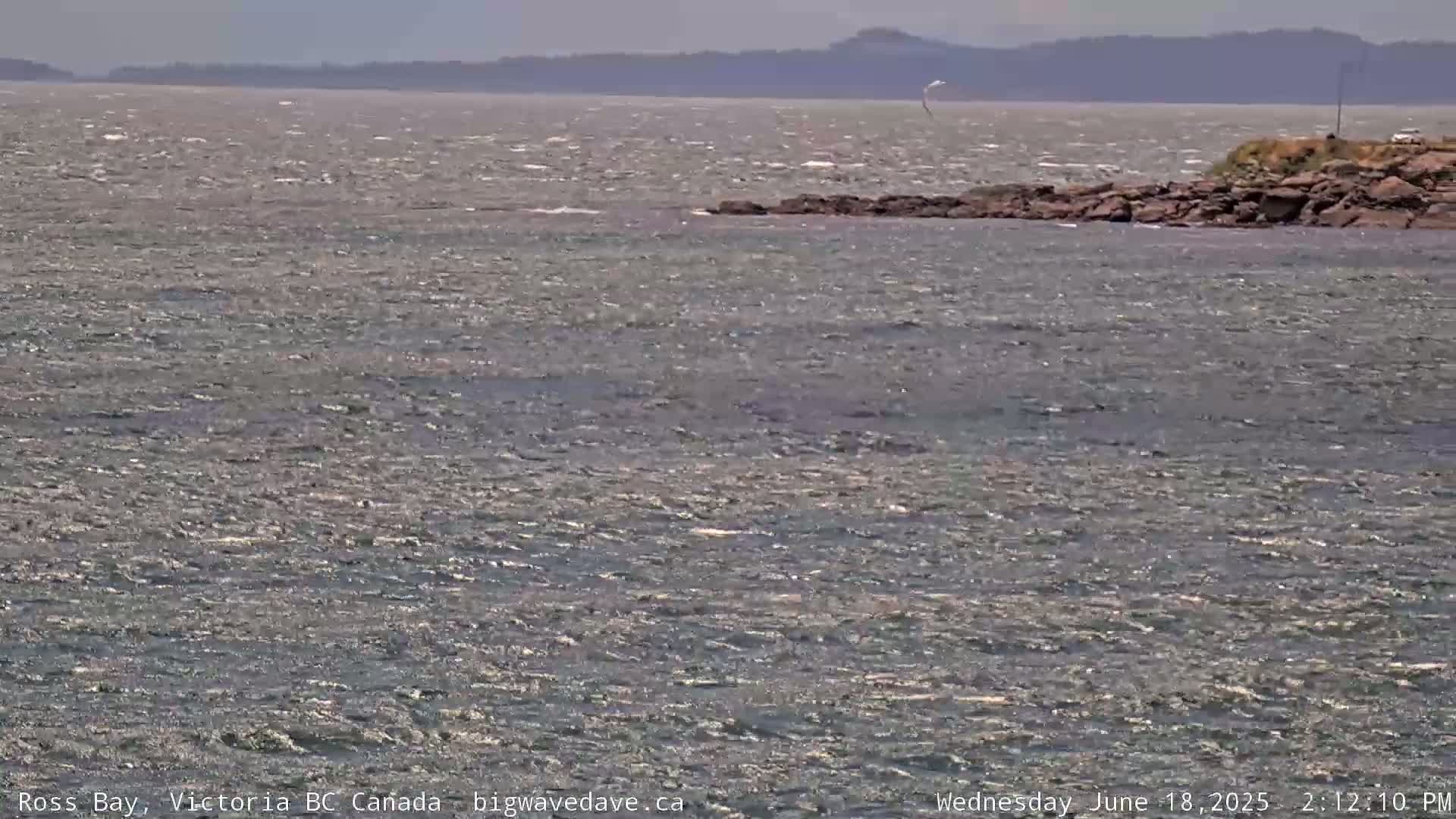 Fairfield District & Ross Bay Pasific & Trail Island Live Cam - Fairfield,  Victoria, Capital Regional District, British Columbia, Canada