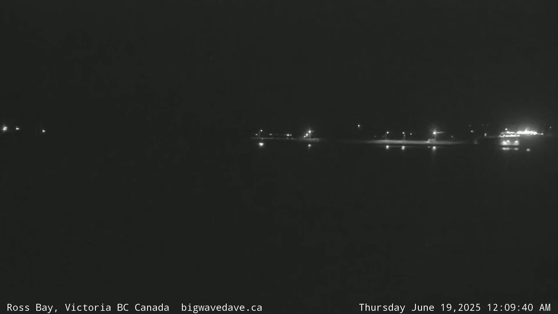 A nighttime, long shot of a dimly lit shoreline with a few scattered lights visible in the distance.