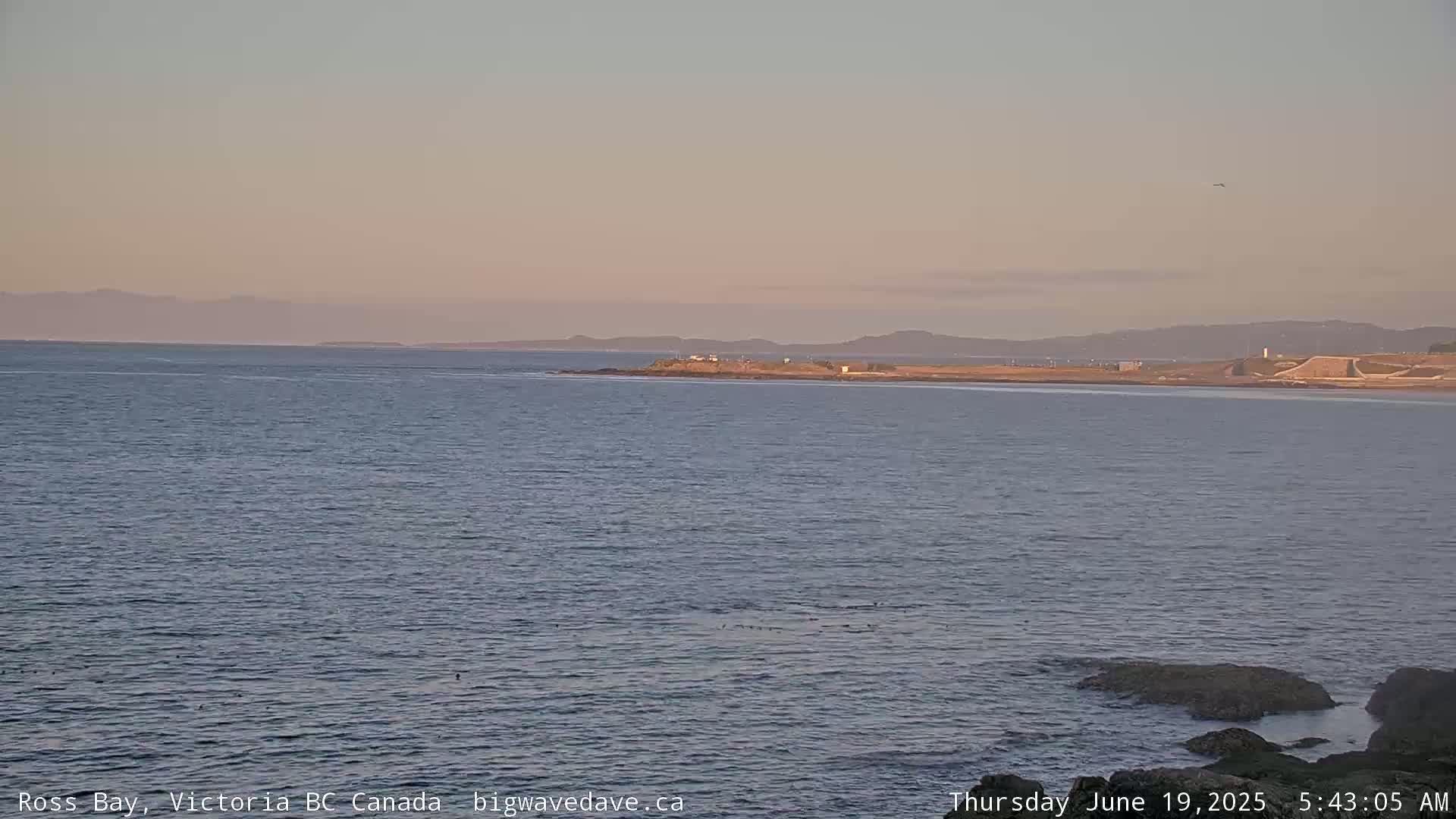 Fairfield District & Ross Bay Pasific & Trail Island Live Cam - Fairfield,  Victoria, Capital Regional District, British Columbia, Canada