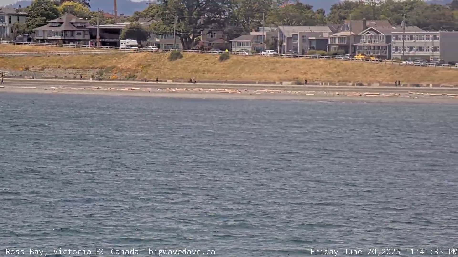 Fairfield District & Ross Bay Pasific & Trail Island Live Cam - Fairfield,  Victoria, Capital Regional District, British Columbia, Canada