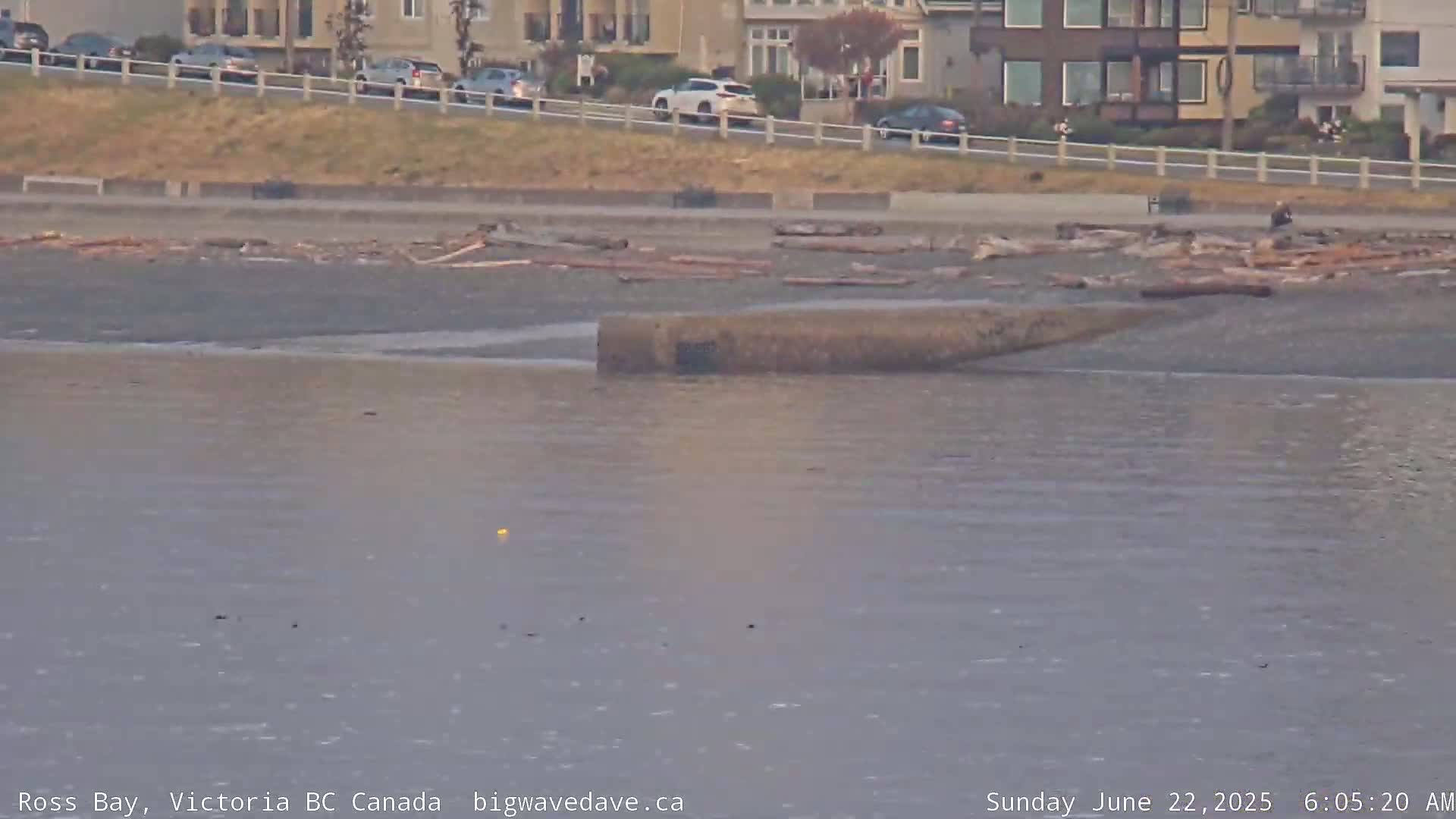 A long, low concrete structure partially submerged in calm water near a beach strewn with driftwood, with residential buildings visible in the background.