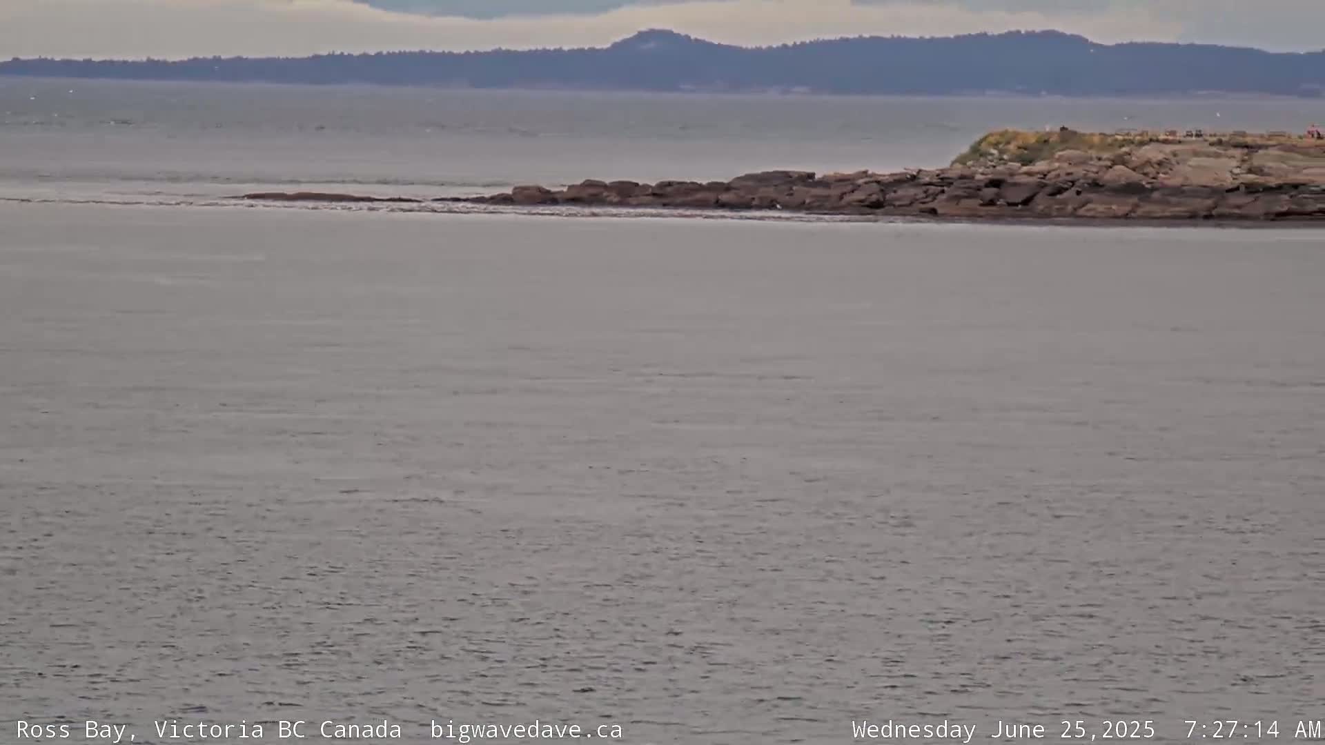 Fairfield District & Ross Bay Pasific & Trail Island Live Cam - Fairfield,  Victoria, Capital Regional District, British Columbia, Canada