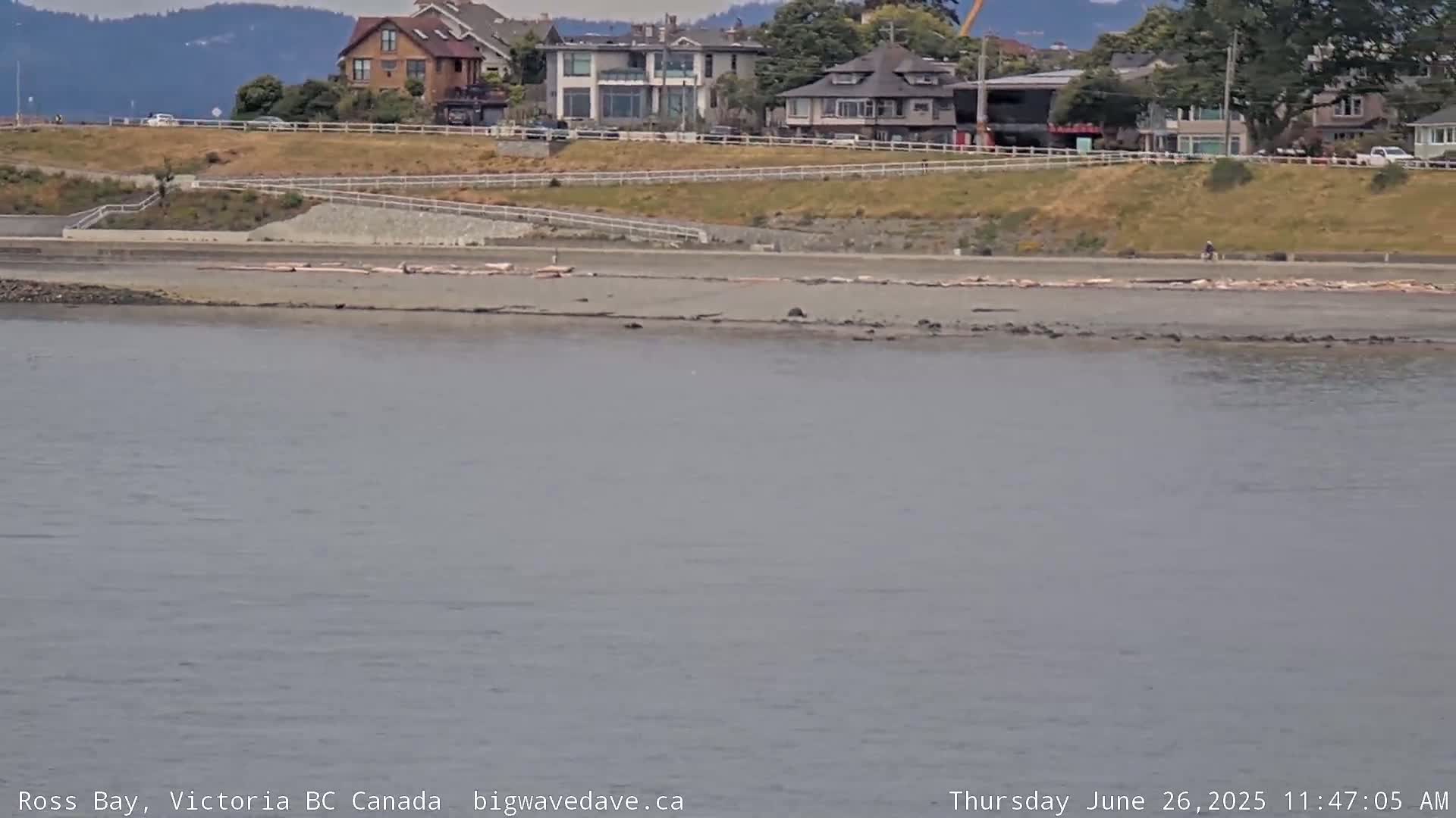Fairfield District & Ross Bay Pasific & Trail Island Live Cam - Fairfield,  Victoria, Capital Regional District, British Columbia, Canada