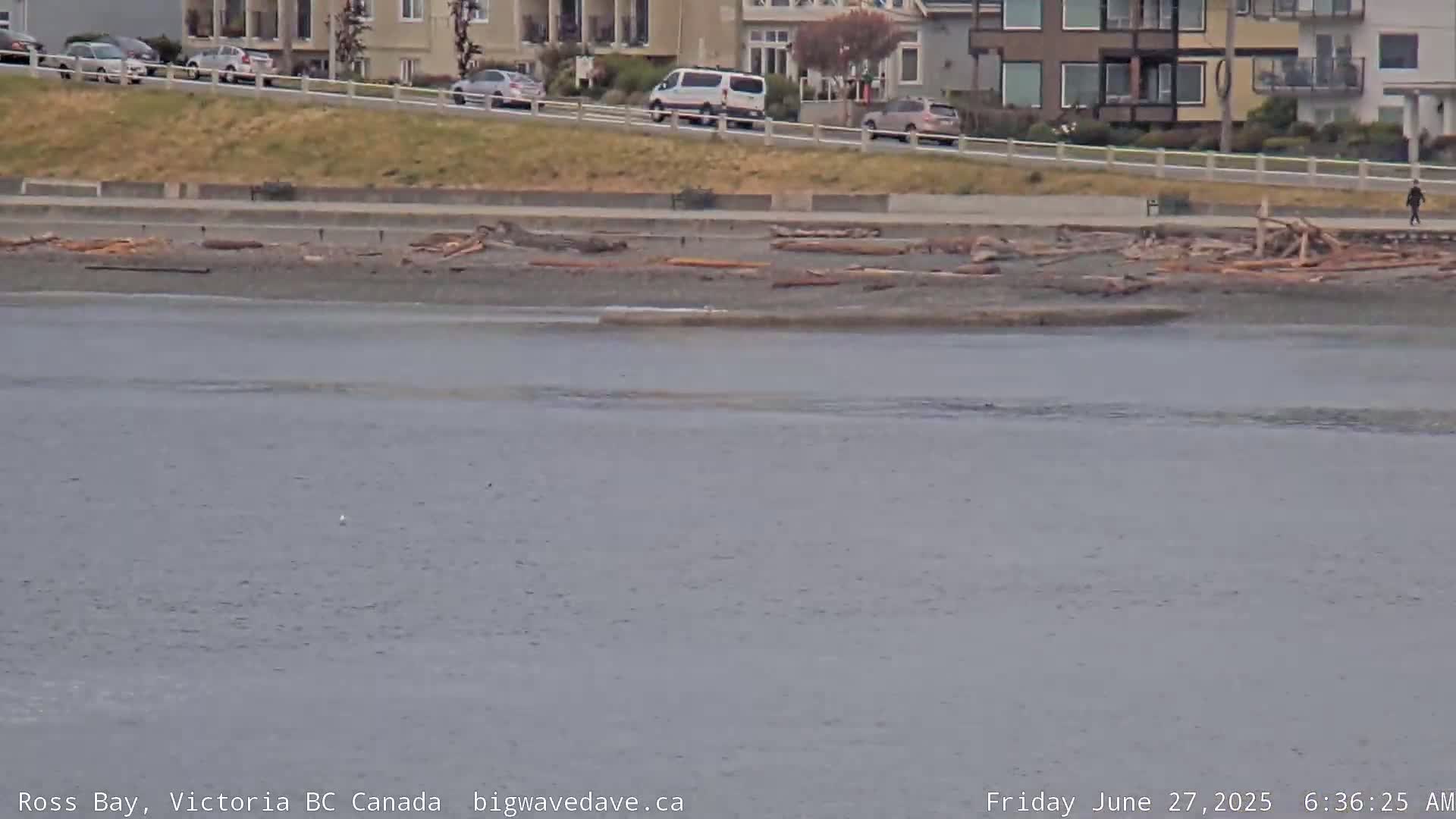 Fairfield District & Ross Bay Pasific & Trail Island Live Cam - Fairfield,  Victoria, Capital Regional District, British Columbia, Canada