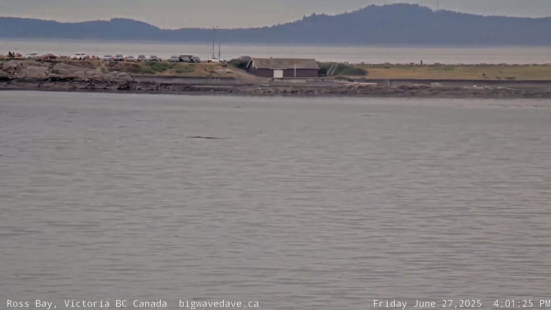 Fairfield District & Ross Bay Pasific & Trail Island Live Cam - Fairfield,  Victoria, Capital Regional District, British Columbia, Canada
