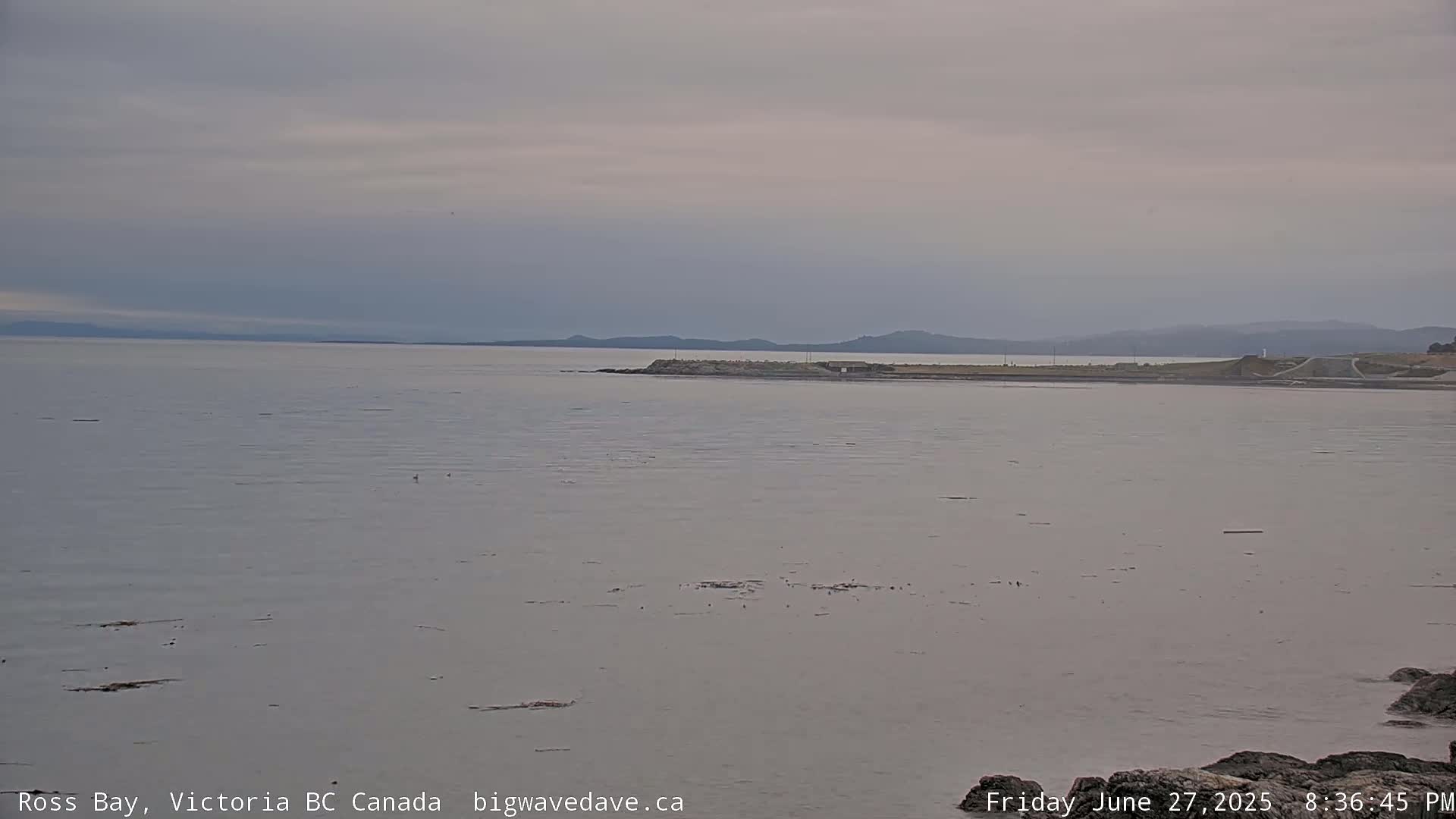 Fairfield District & Ross Bay Pasific & Trail Island Live Cam - Fairfield,  Victoria, Capital Regional District, British Columbia, Canada