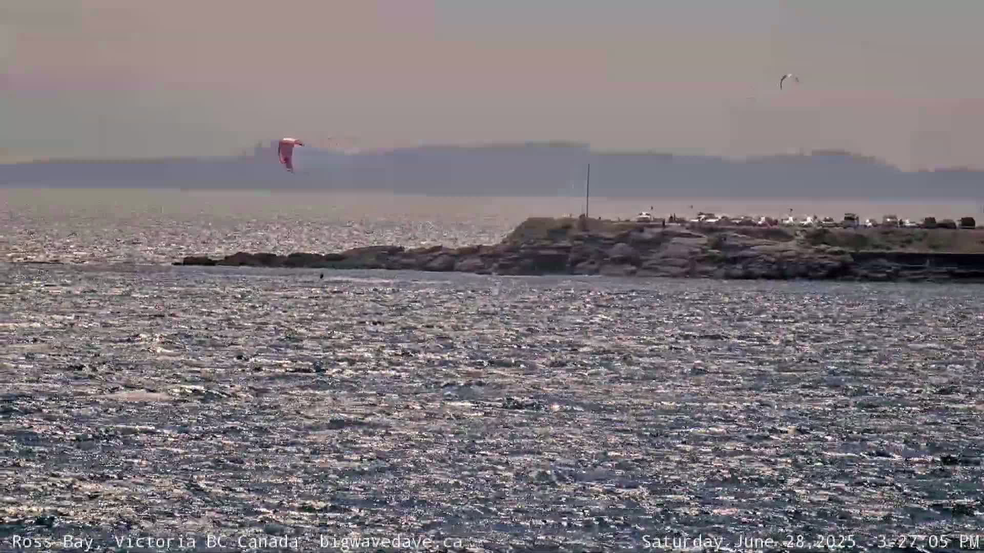 Fairfield District & Ross Bay Pasific & Trail Island Live Cam - Fairfield,  Victoria, Capital Regional District, British Columbia, Canada