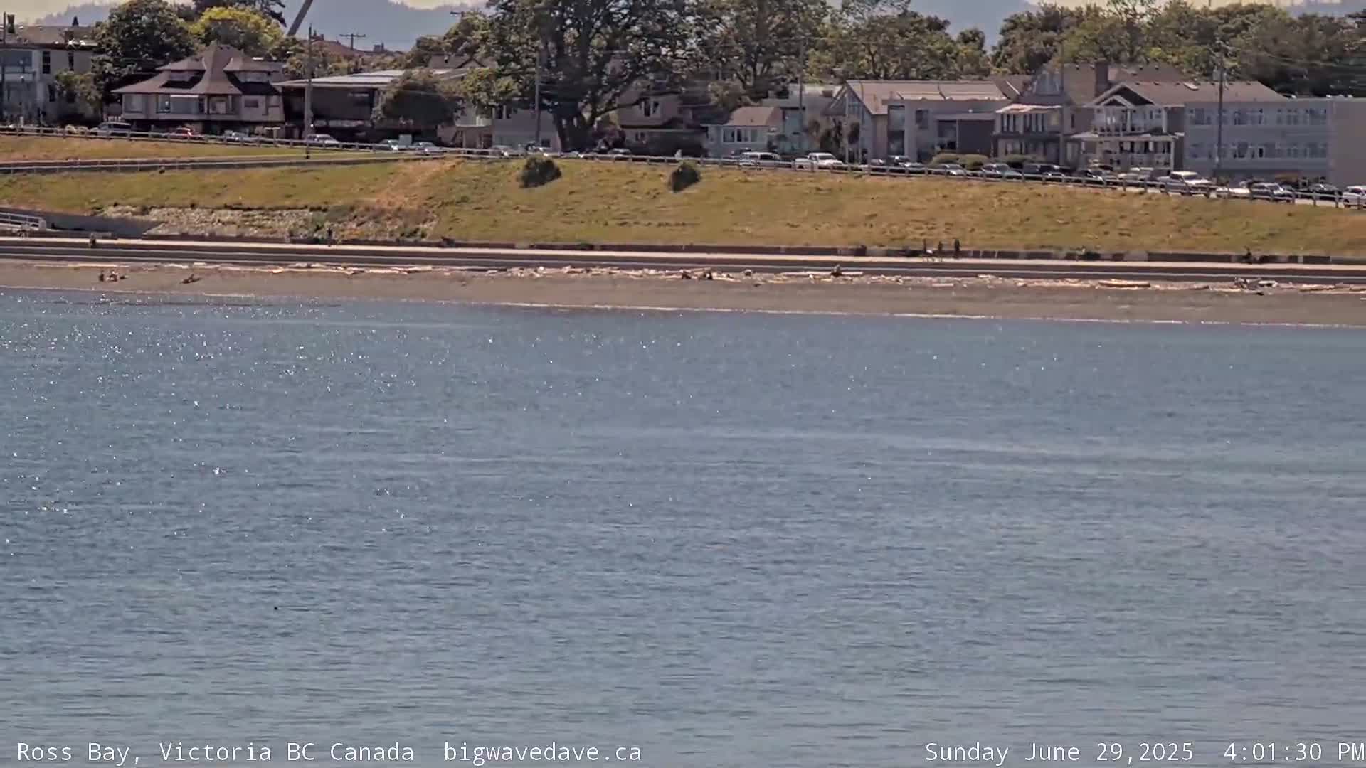 Fairfield District & Ross Bay Pasific & Trail Island Live Cam - Fairfield,  Victoria, Capital Regional District, British Columbia, Canada