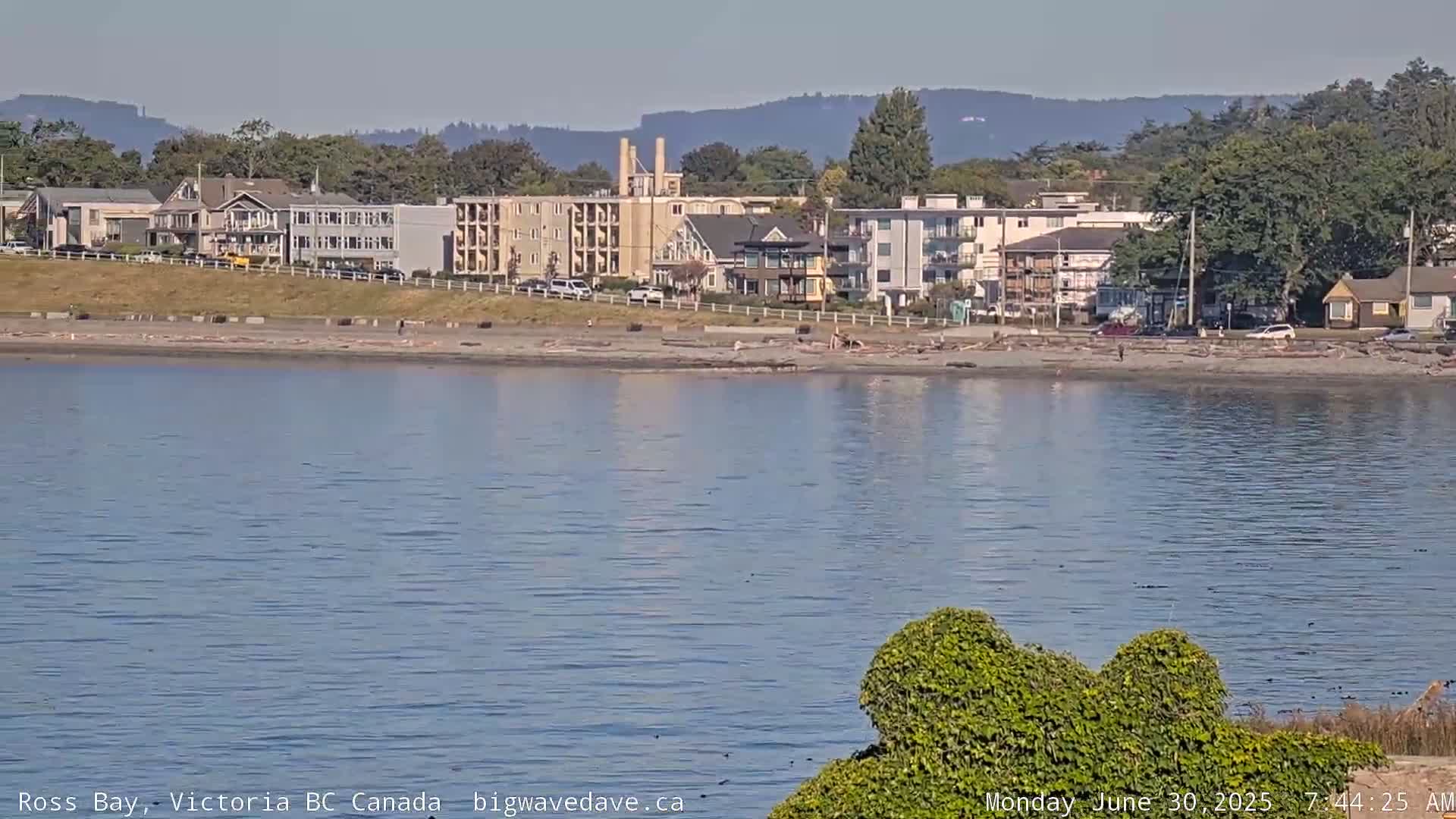 Fairfield District & Ross Bay Pasific & Trail Island Live Cam - Fairfield,  Victoria, Capital Regional District, British Columbia, Canada