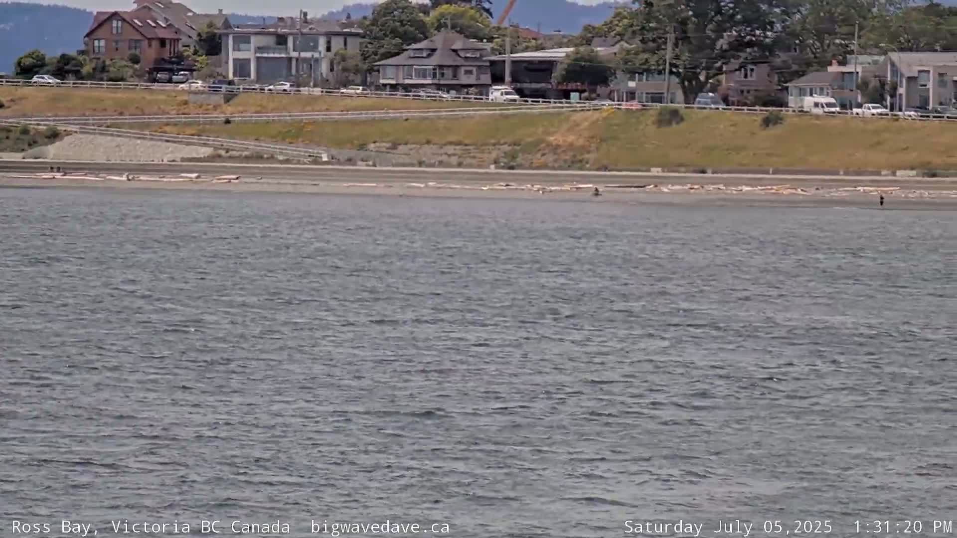 Fairfield District & Ross Bay Pasific & Trail Island Live Cam - Fairfield,  Victoria, Capital Regional District, British Columbia, Canada