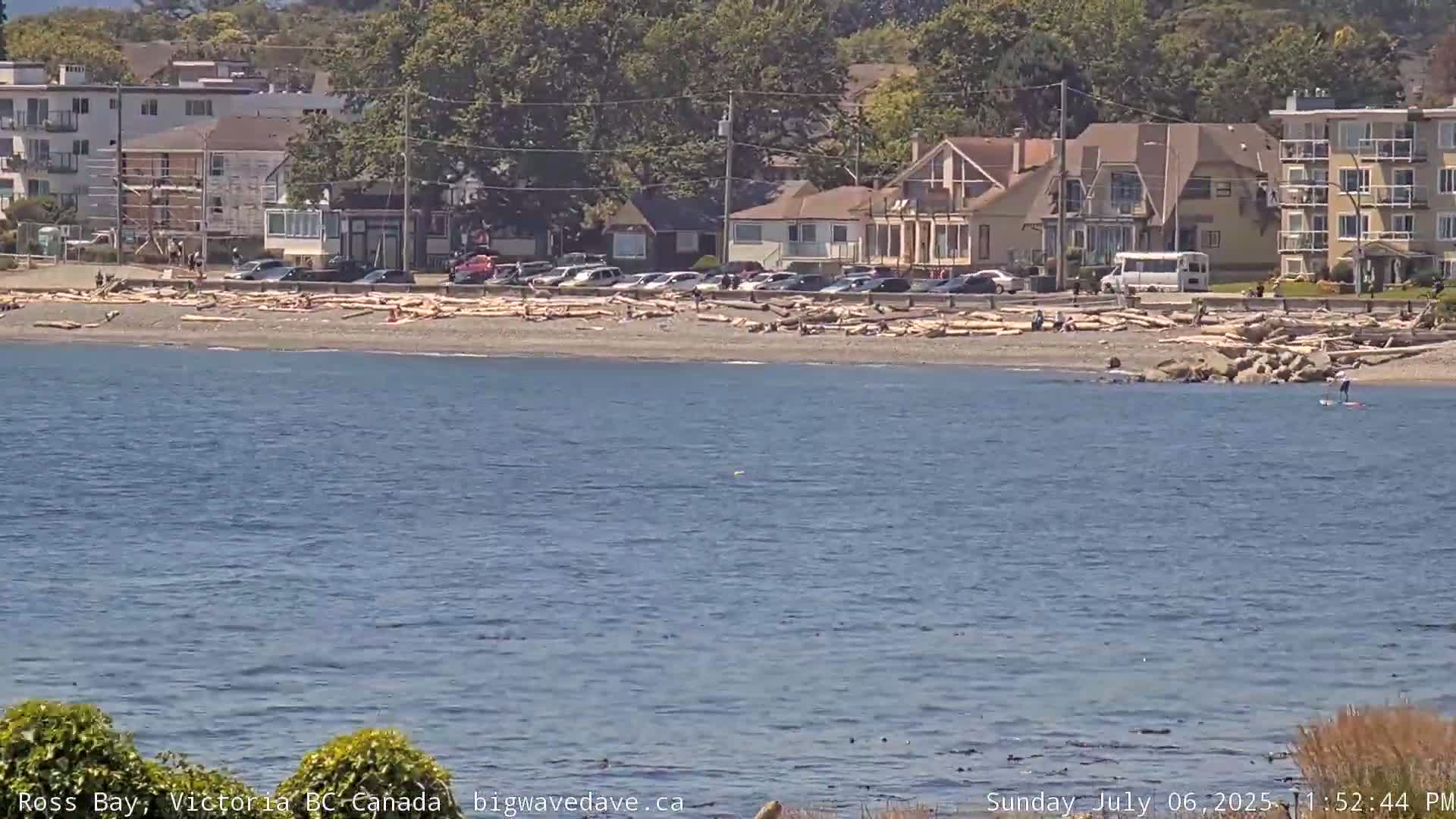 Fairfield District & Ross Bay Pasific & Trail Island Live Cam - Fairfield,  Victoria, Capital Regional District, British Columbia, Canada