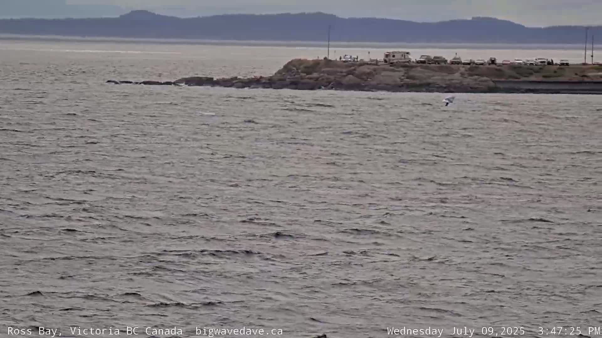 Fairfield District & Ross Bay Pasific & Trail Island Live Cam - Fairfield,  Victoria, Capital Regional District, British Columbia, Canada