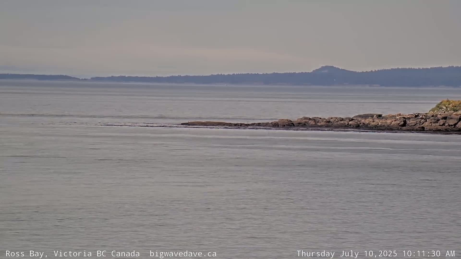 Fairfield District & Ross Bay Pasific & Trail Island Live Cam - Fairfield,  Victoria, Capital Regional District, British Columbia, Canada