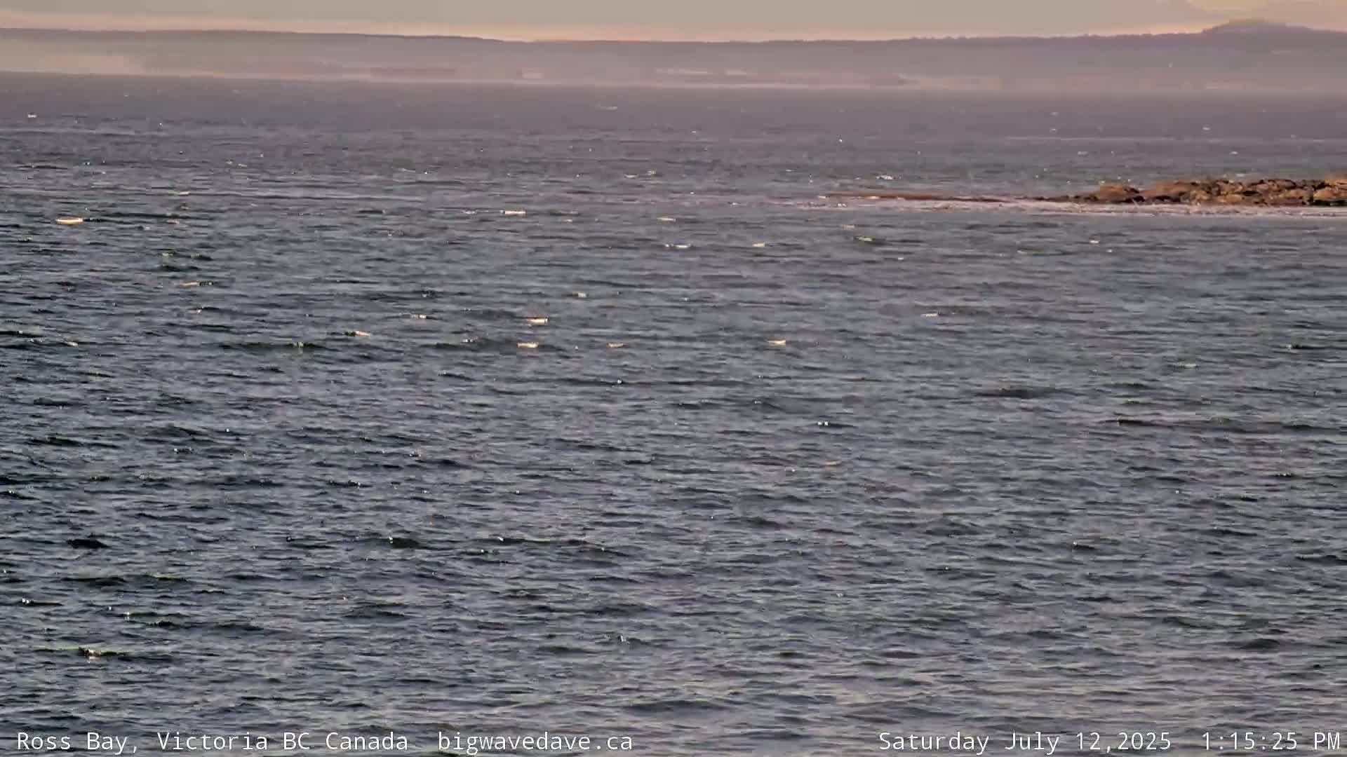 Fairfield District & Ross Bay Pasific & Trail Island Live Cam - Fairfield,  Victoria, Capital Regional District, British Columbia, Canada
