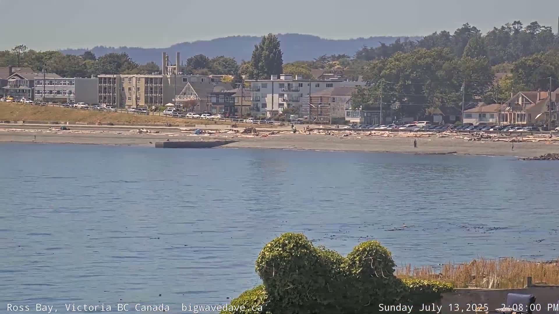 Fairfield District & Ross Bay Pasific & Trail Island Live Cam - Fairfield,  Victoria, Capital Regional District, British Columbia, Canada