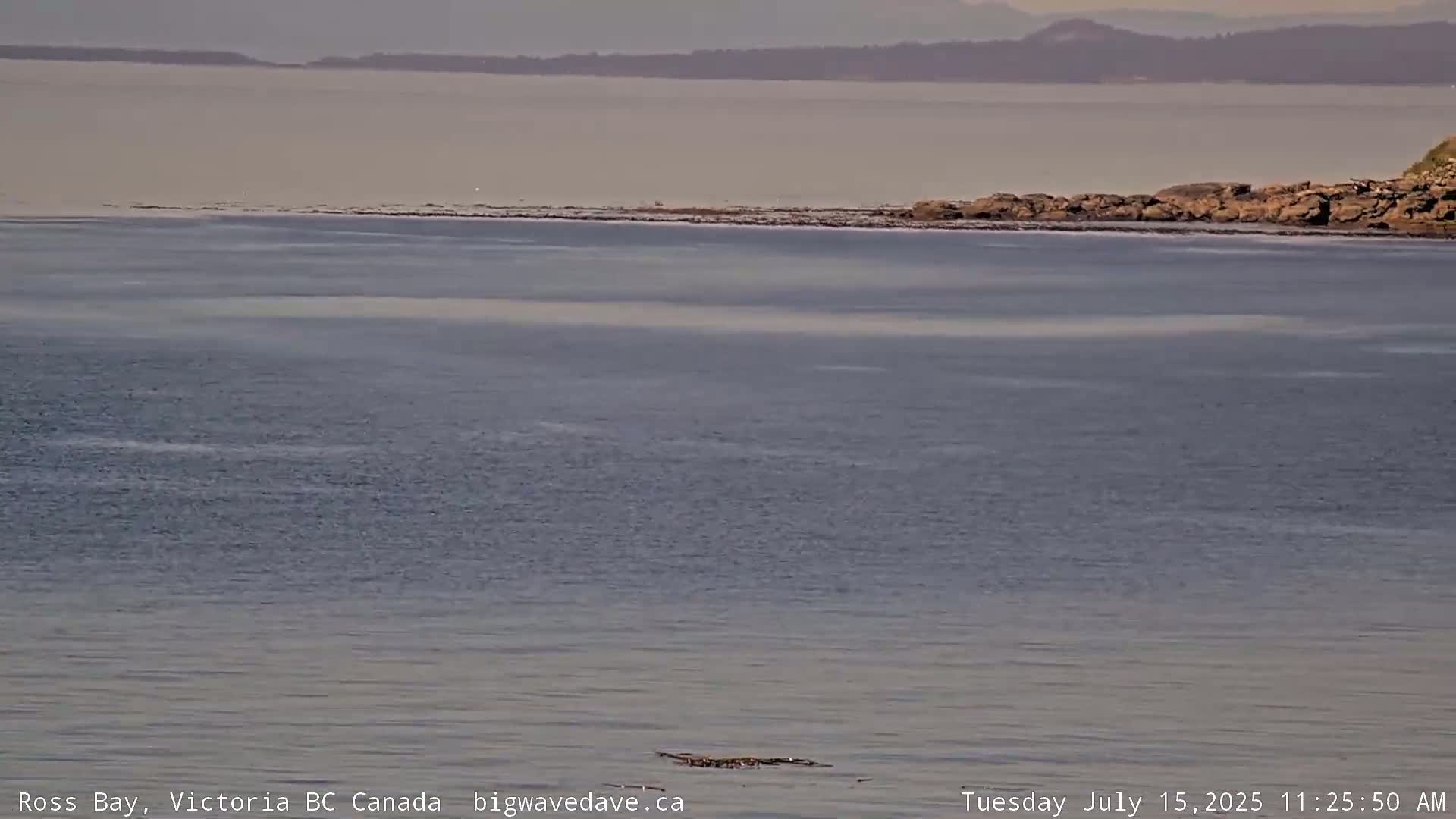 Fairfield District & Ross Bay Pasific & Trail Island Live Cam - Fairfield,  Victoria, Capital Regional District, British Columbia, Canada