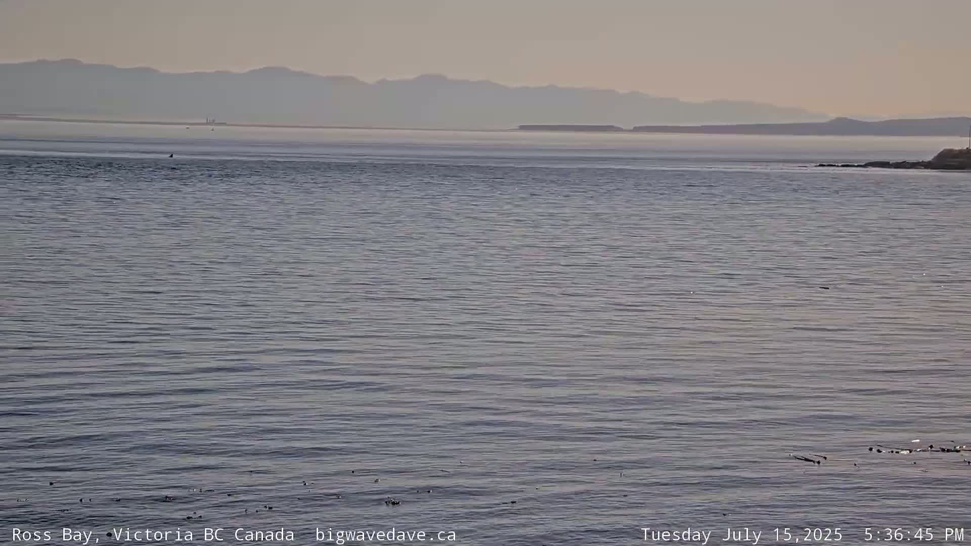 Fairfield District & Ross Bay Pasific & Trail Island Live Cam - Fairfield,  Victoria, Capital Regional District, British Columbia, Canada