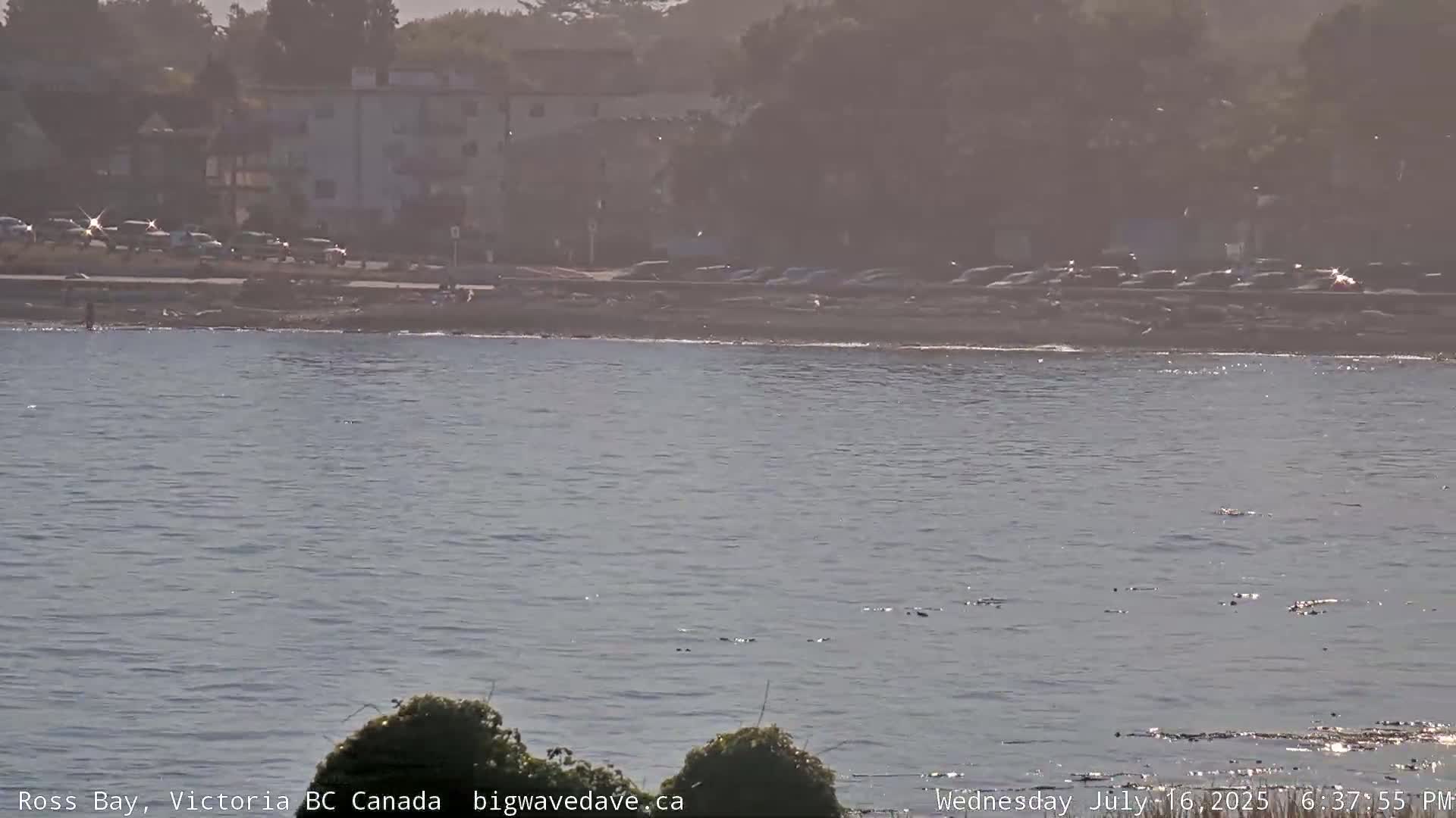 Fairfield District & Ross Bay Pasific & Trail Island Live Cam - Fairfield,  Victoria, Capital Regional District, British Columbia, Canada