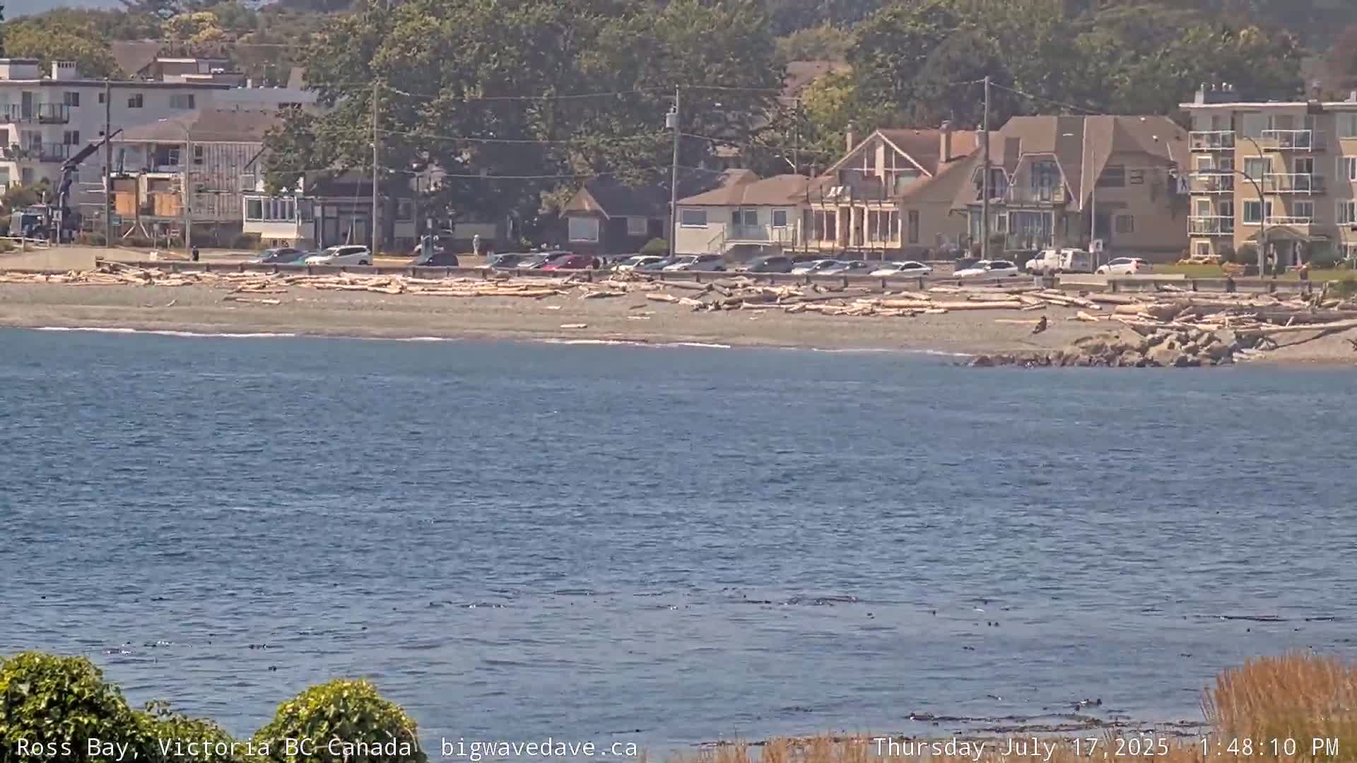 Fairfield District & Ross Bay Pasific & Trail Island Live Cam - Fairfield,  Victoria, Capital Regional District, British Columbia, Canada