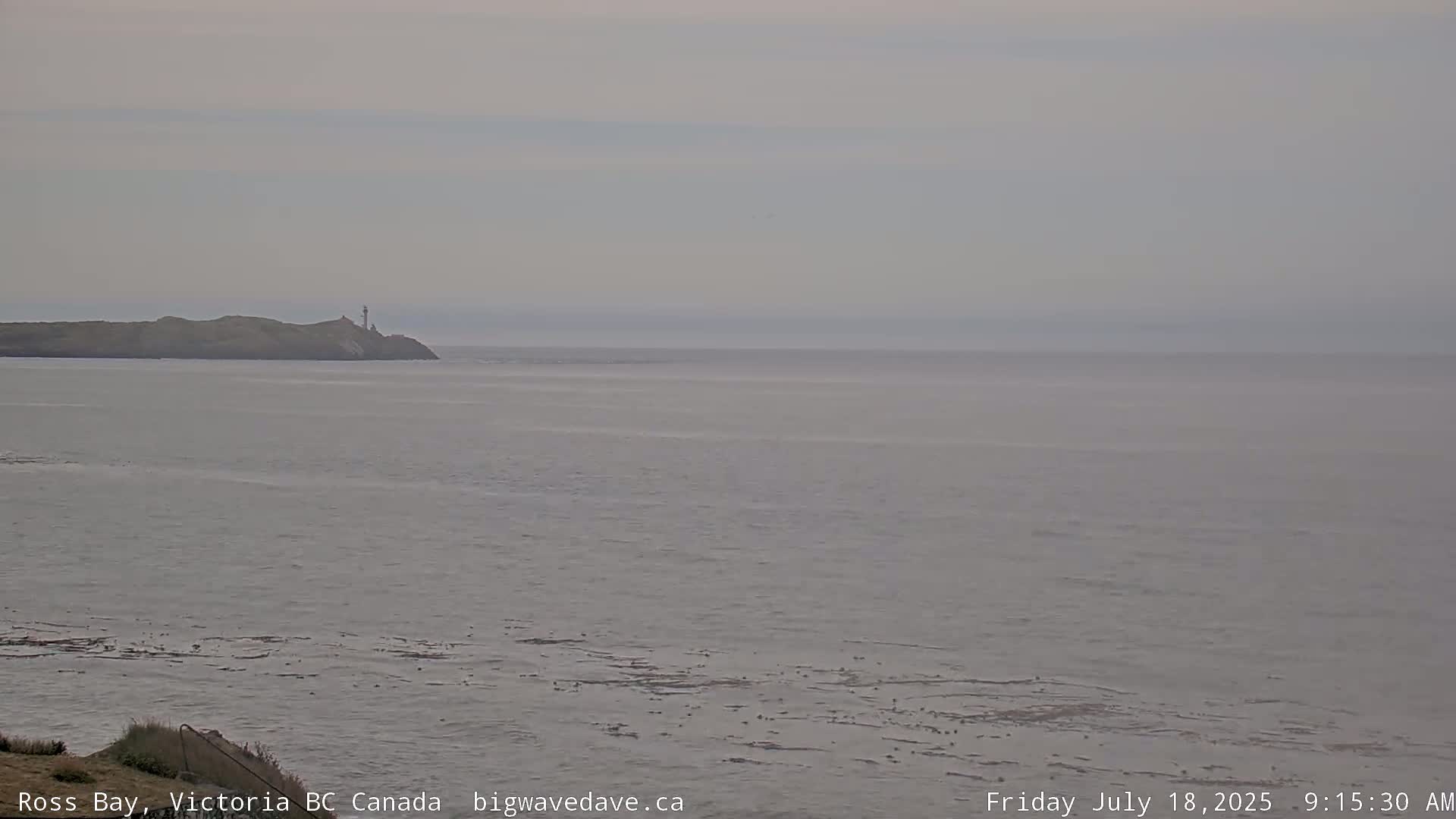 Fairfield District & Ross Bay Pasific & Trail Island Live Cam - Fairfield,  Victoria, Capital Regional District, British Columbia, Canada