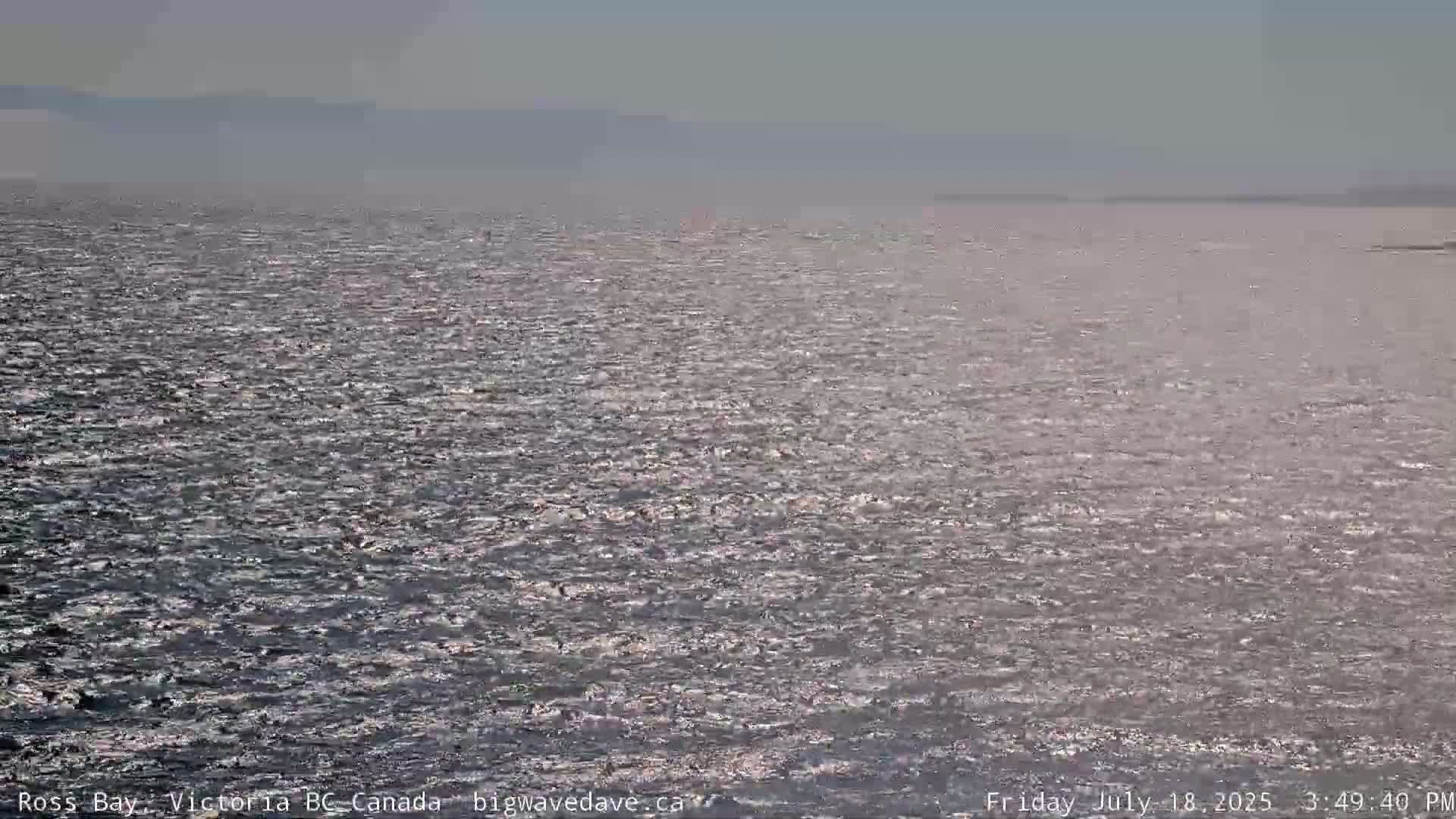Fairfield District & Ross Bay Pasific & Trail Island Live Cam - Fairfield,  Victoria, Capital Regional District, British Columbia, Canada
